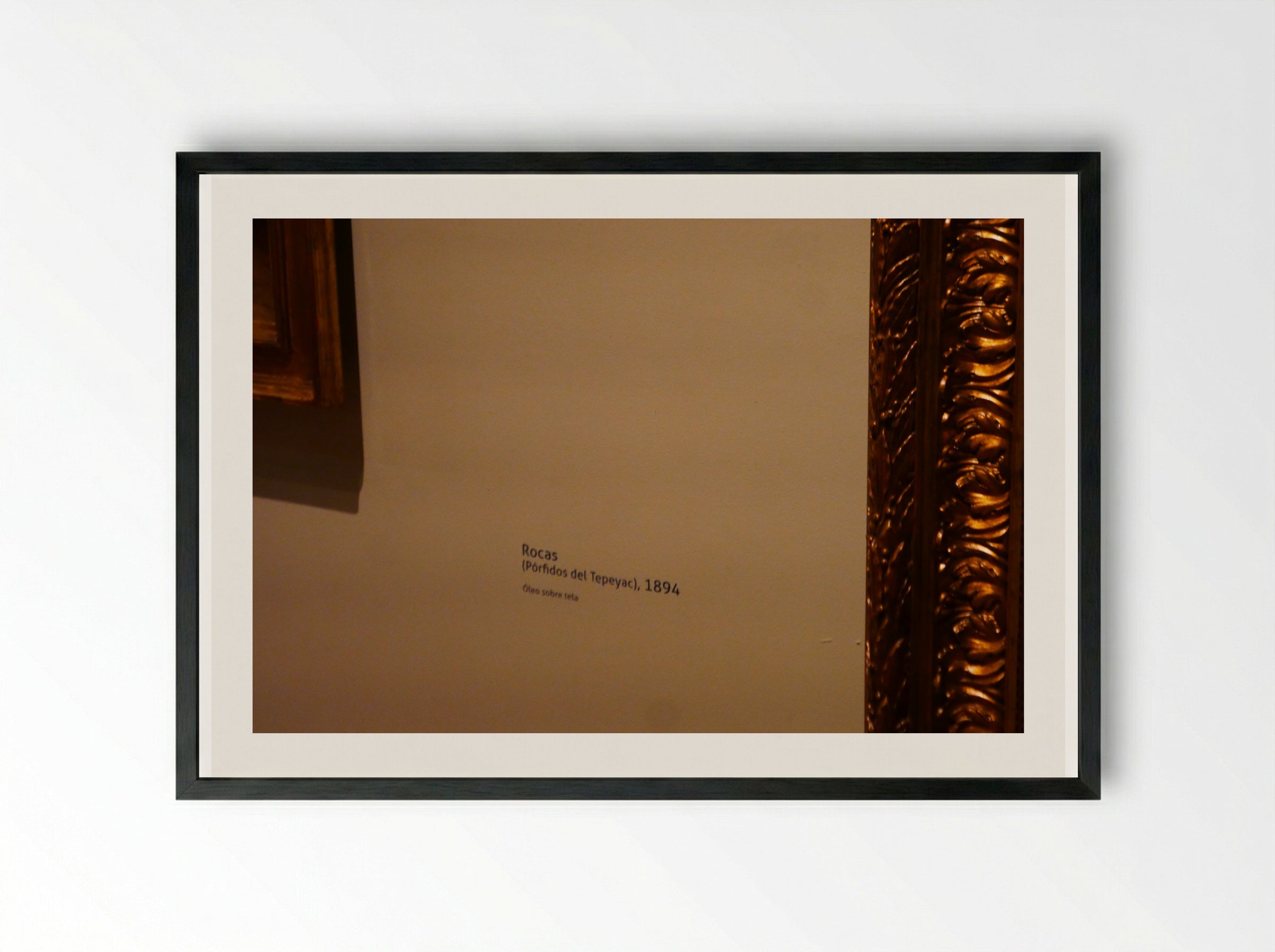 Rocas (Pórfidos del Tepeyac) - José María Velasco - Framed Print Black