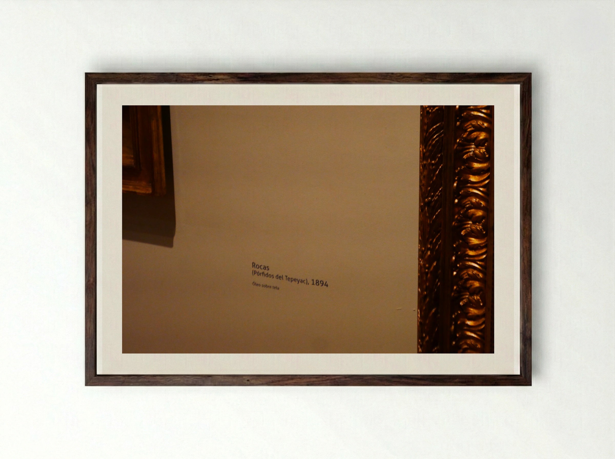 Rocas (Pórfidos del Tepeyac) - José María Velasco - Framed Print Dark Wood