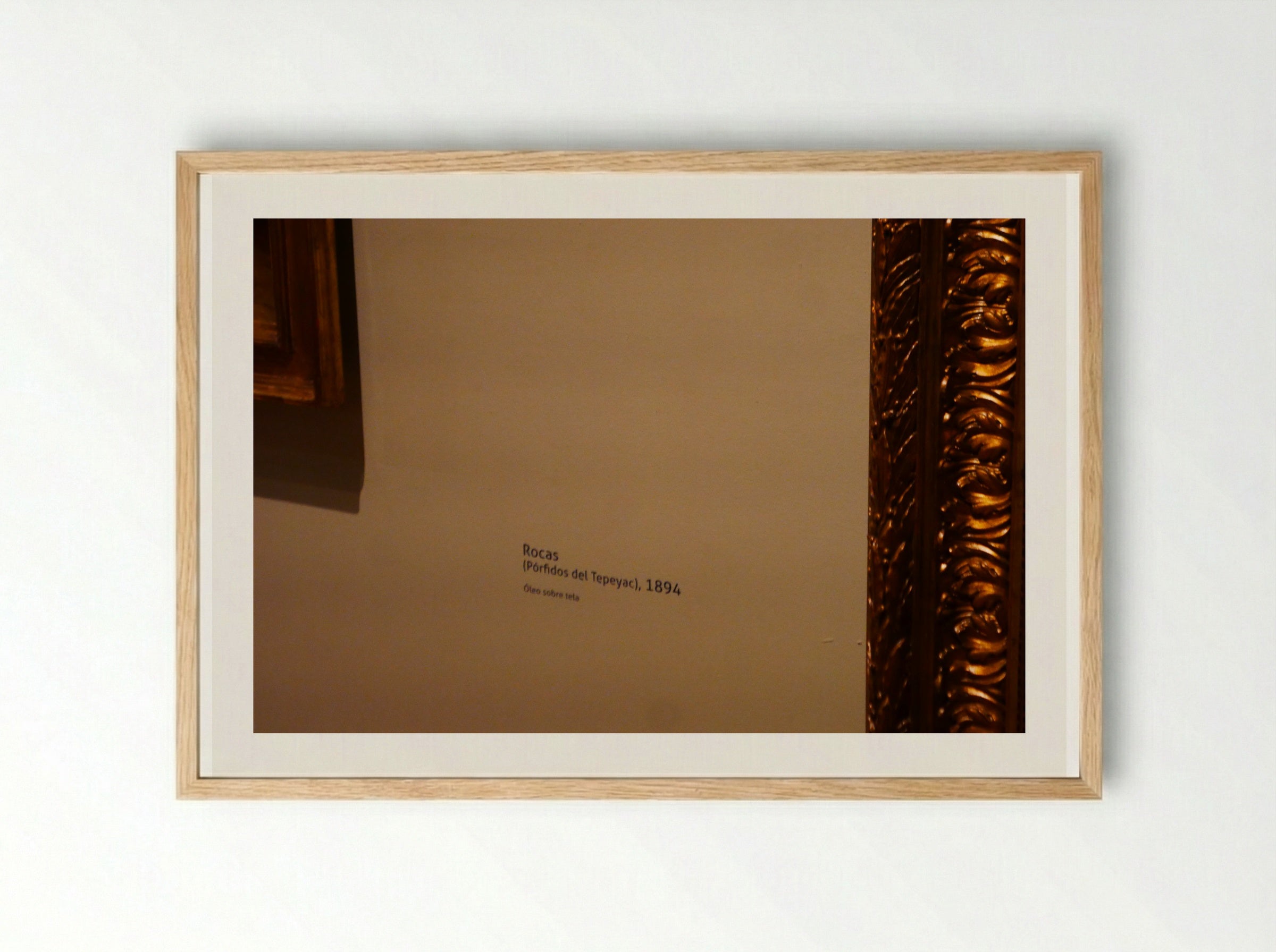 Rocas (Pórfidos del Tepeyac) - José María Velasco - Framed Print Wood