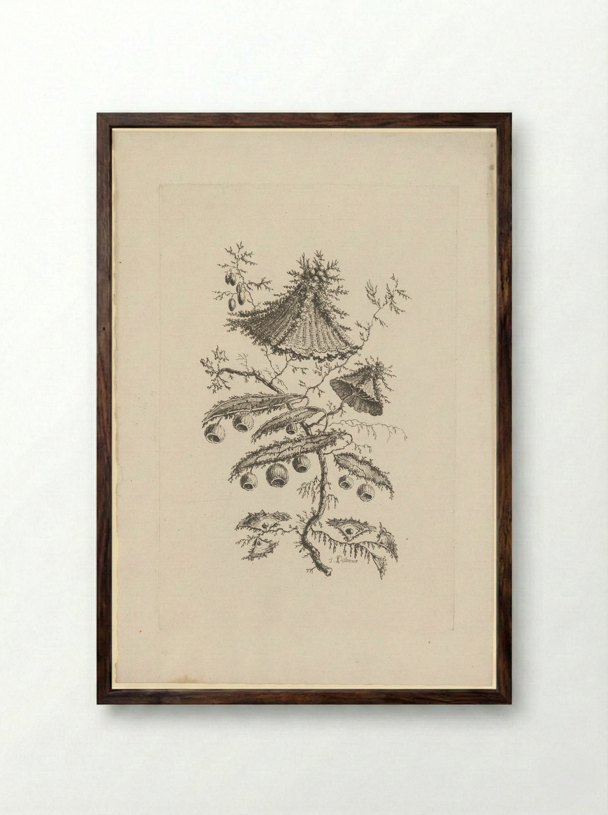 Ronde en driehoekige bloemen - Charles Leviez - Framed Print Dark Wood
