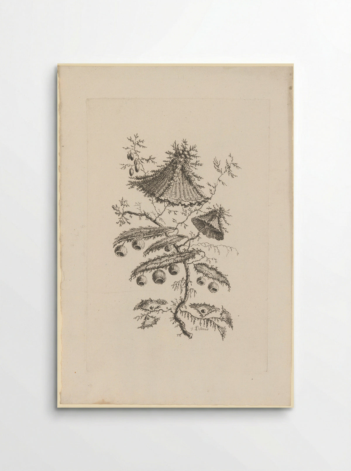 Ronde en driehoekige bloemen - Charles Leviez - Poster