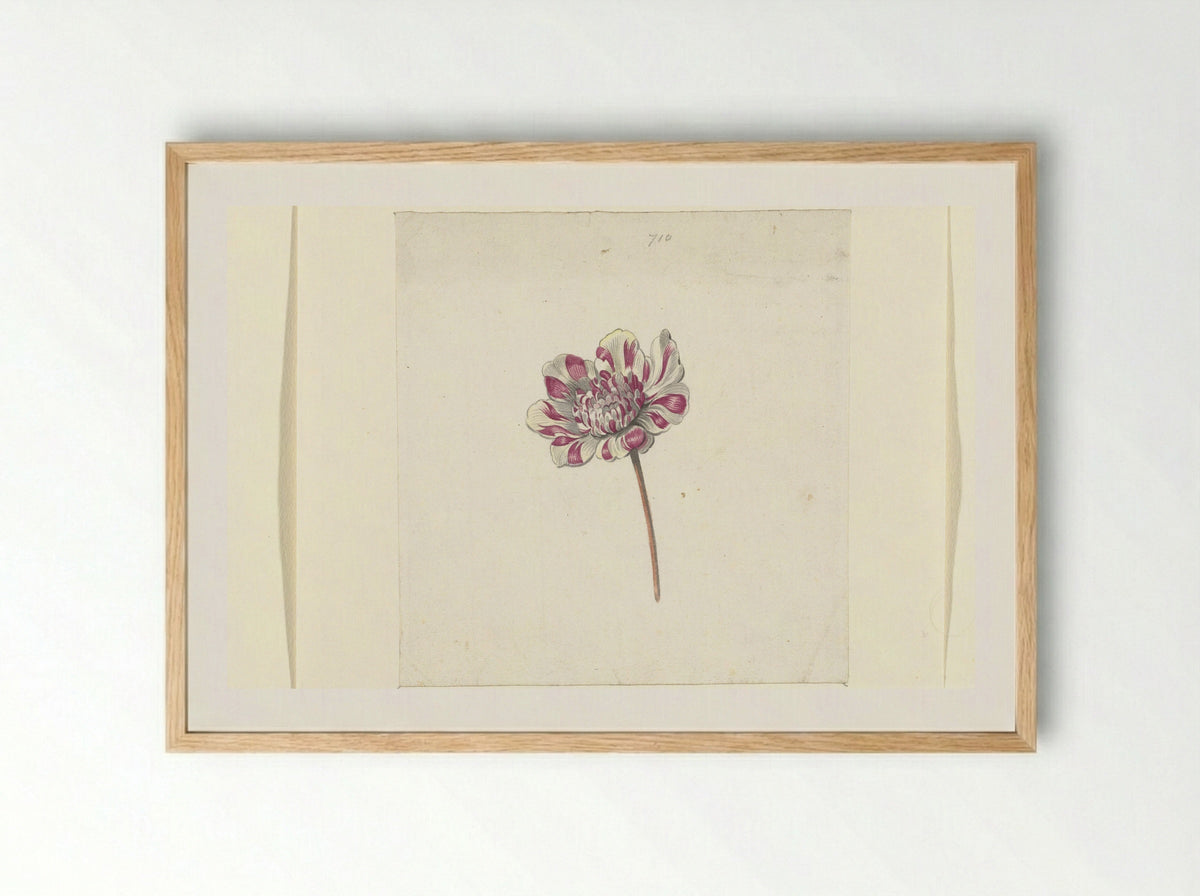 Rood-witte bloem - Anna Cornelia Moda - Framed Print Wood