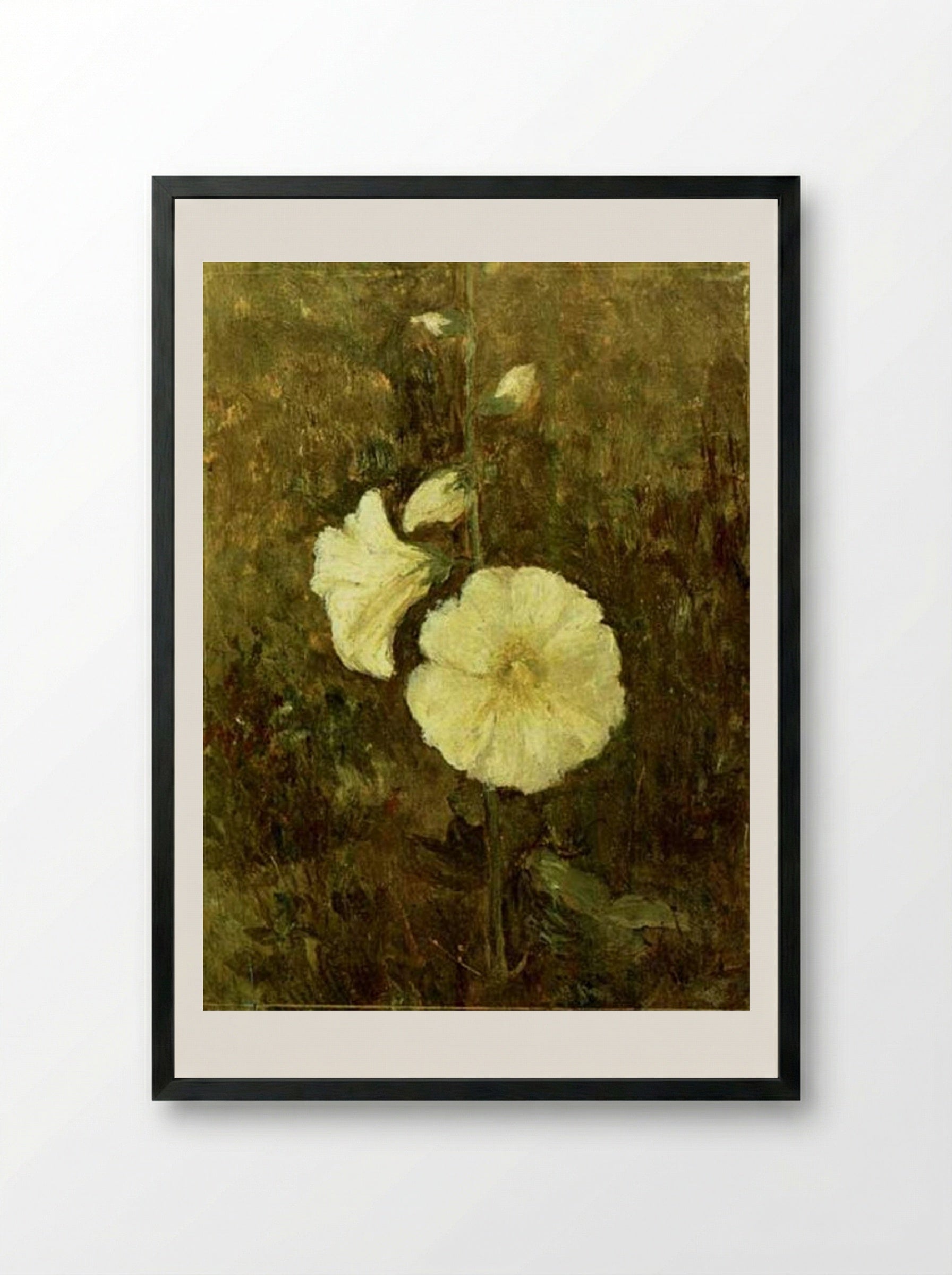 Rose Mallow - Theodor Pallady - Framed Print Black