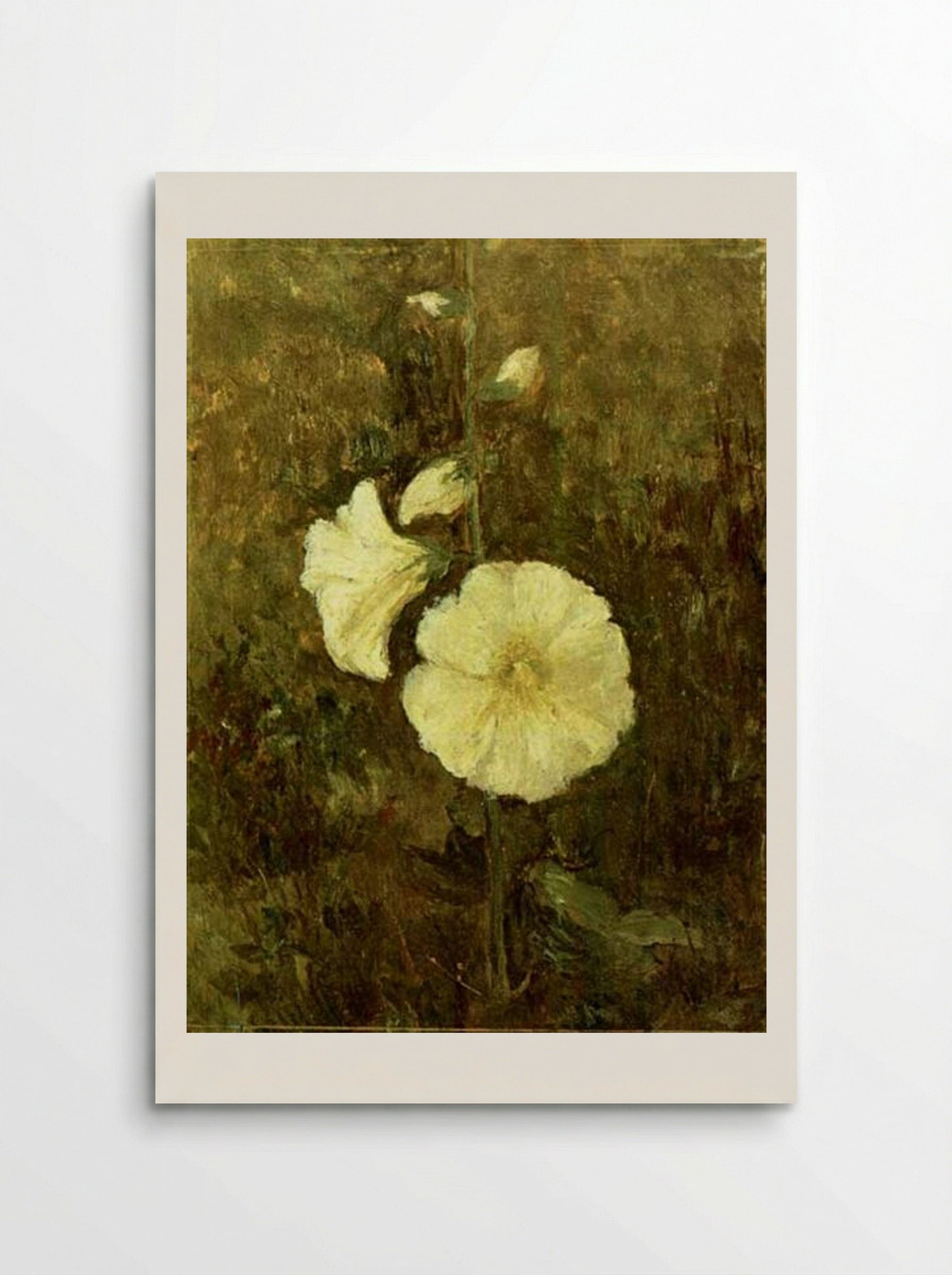 Rose Mallow - Theodor Pallady - Poster