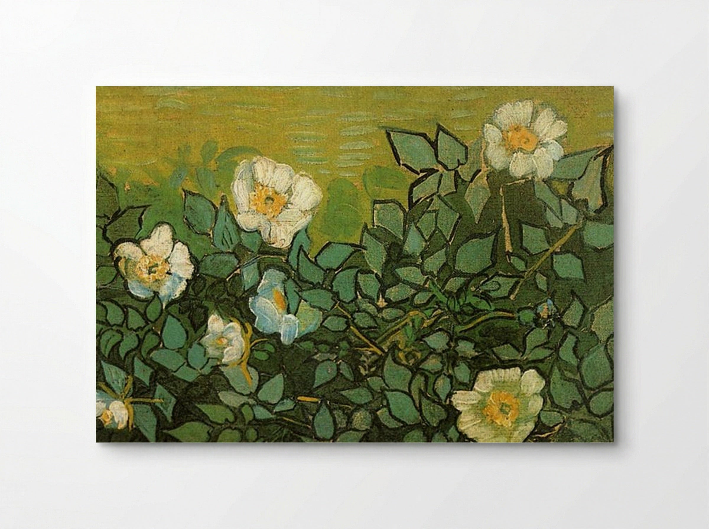 Roses - Vincent van Gogh - Poster