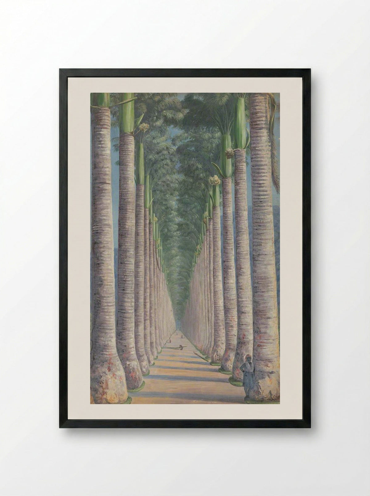 Royal Palm Avenue - Marianne North - Framed Print Black