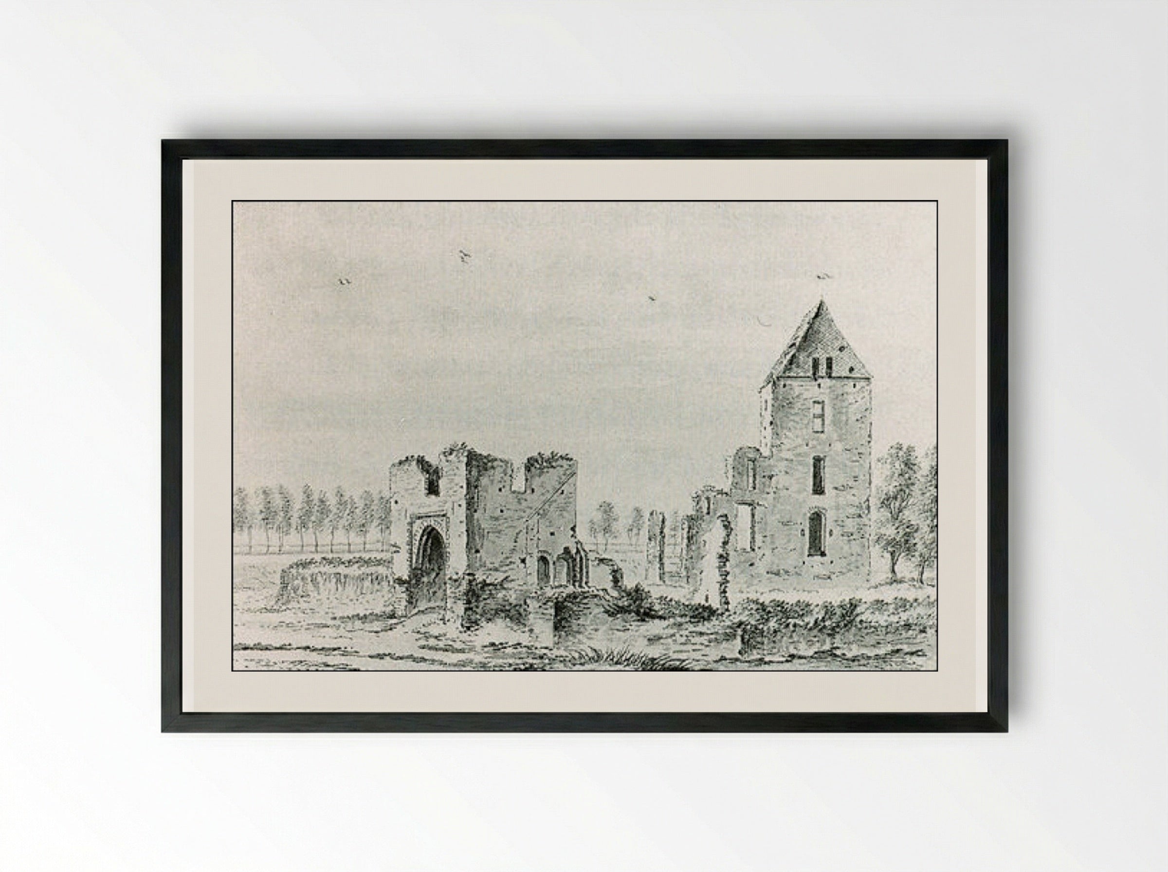 Ruïne van het huis te Kleef bij Haarlem - Abraham Rademaker - Framed Print Black