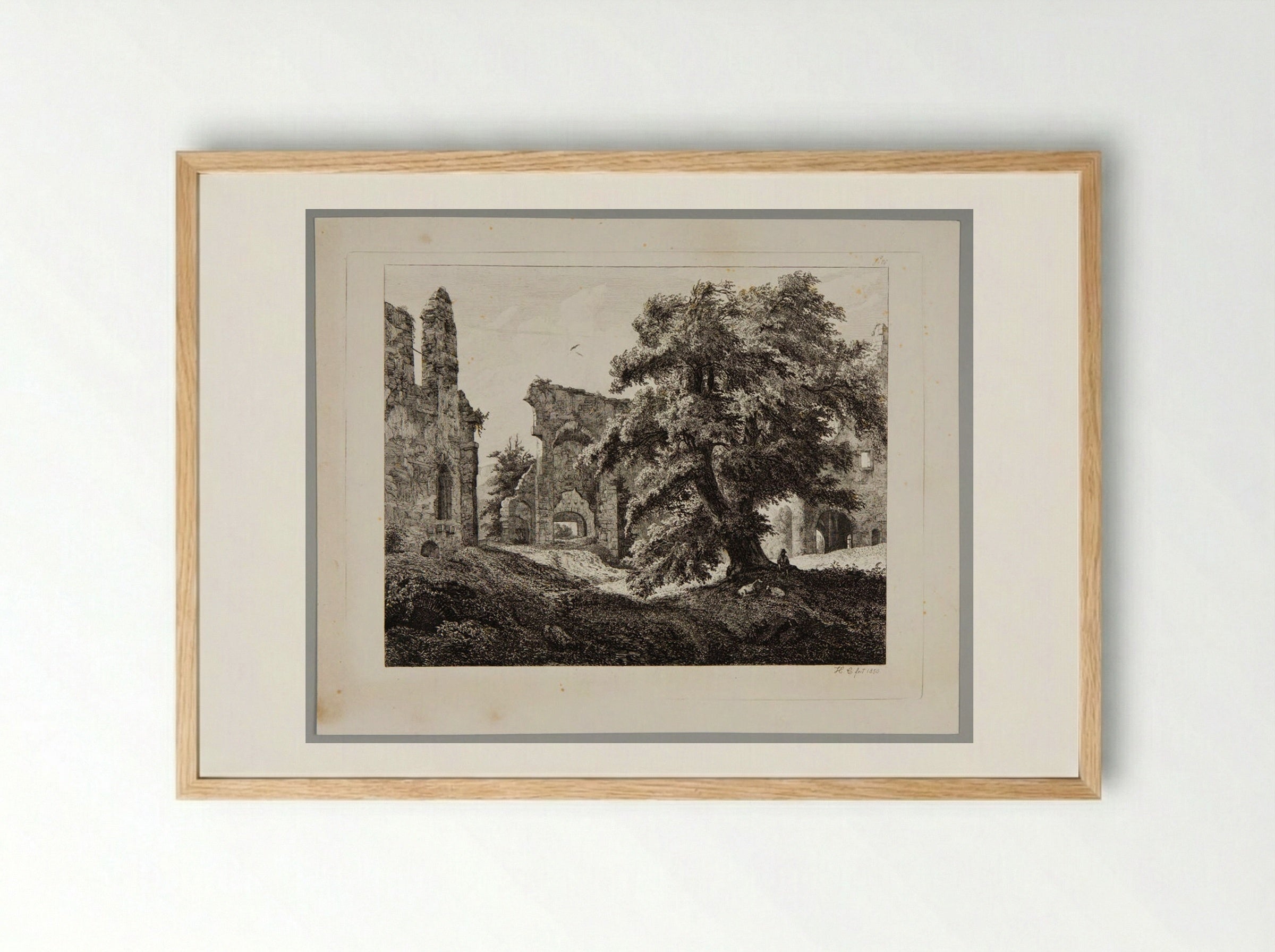 Ruins of Schloss Hartenstein - Johann Hermann Carmiencke - Framed Print Wood