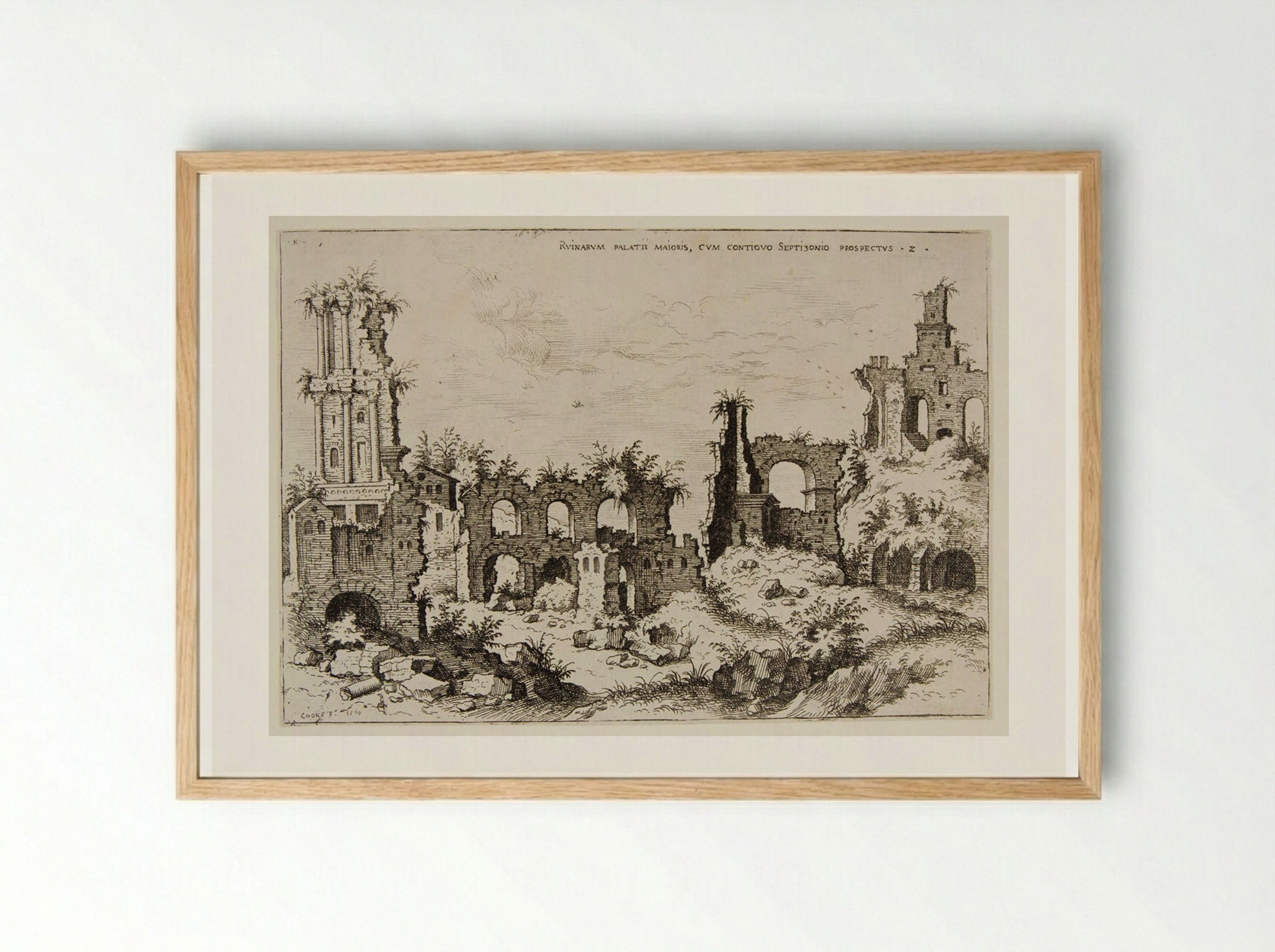 Ruins on the Palatine Hill with the Septizonium - Hieronymus Cock - Framed Print Wood