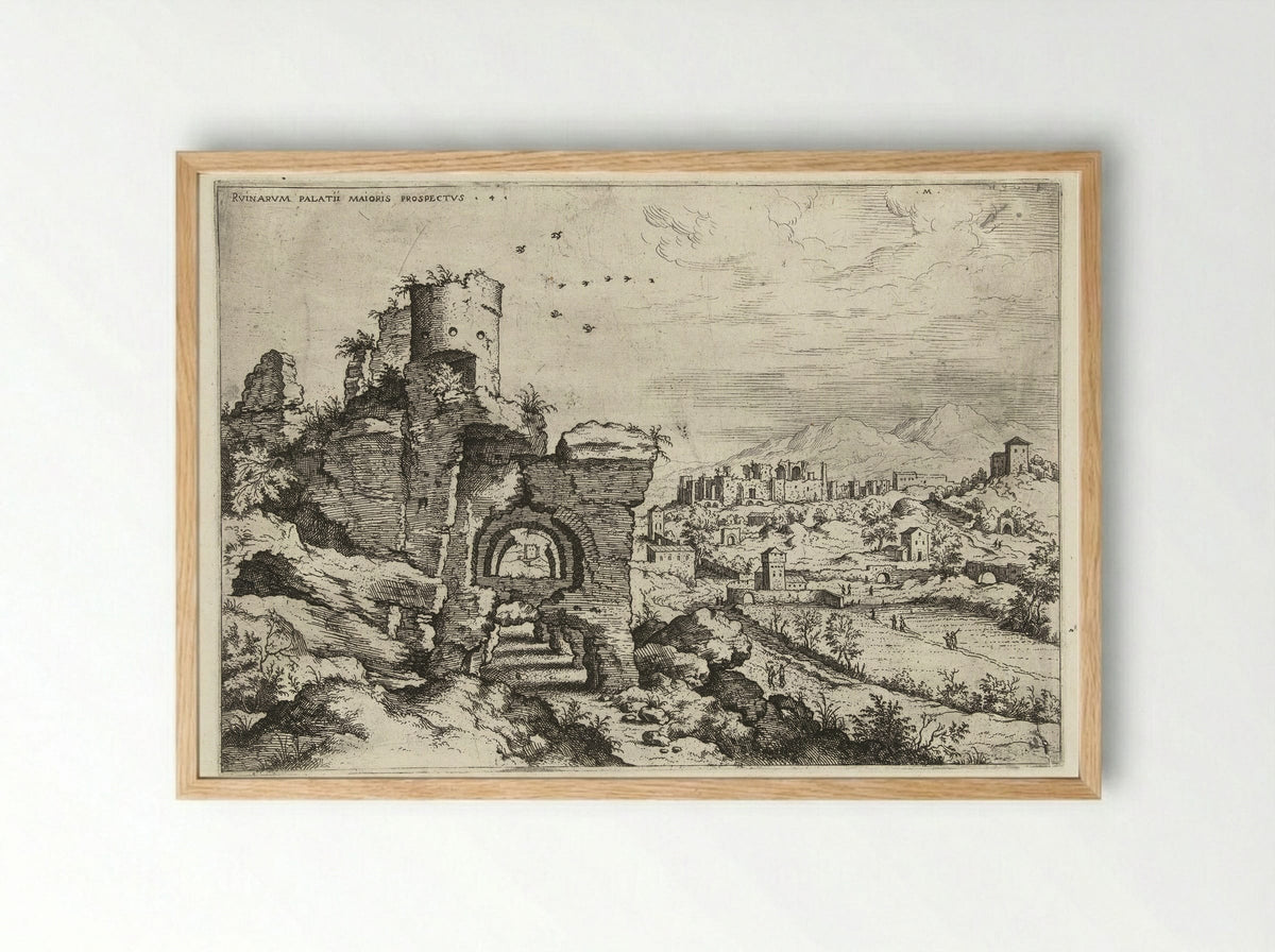 Ruinvarum Palatii Maioris Prospectus - Hieronymus Cock - Framed Print Wood
