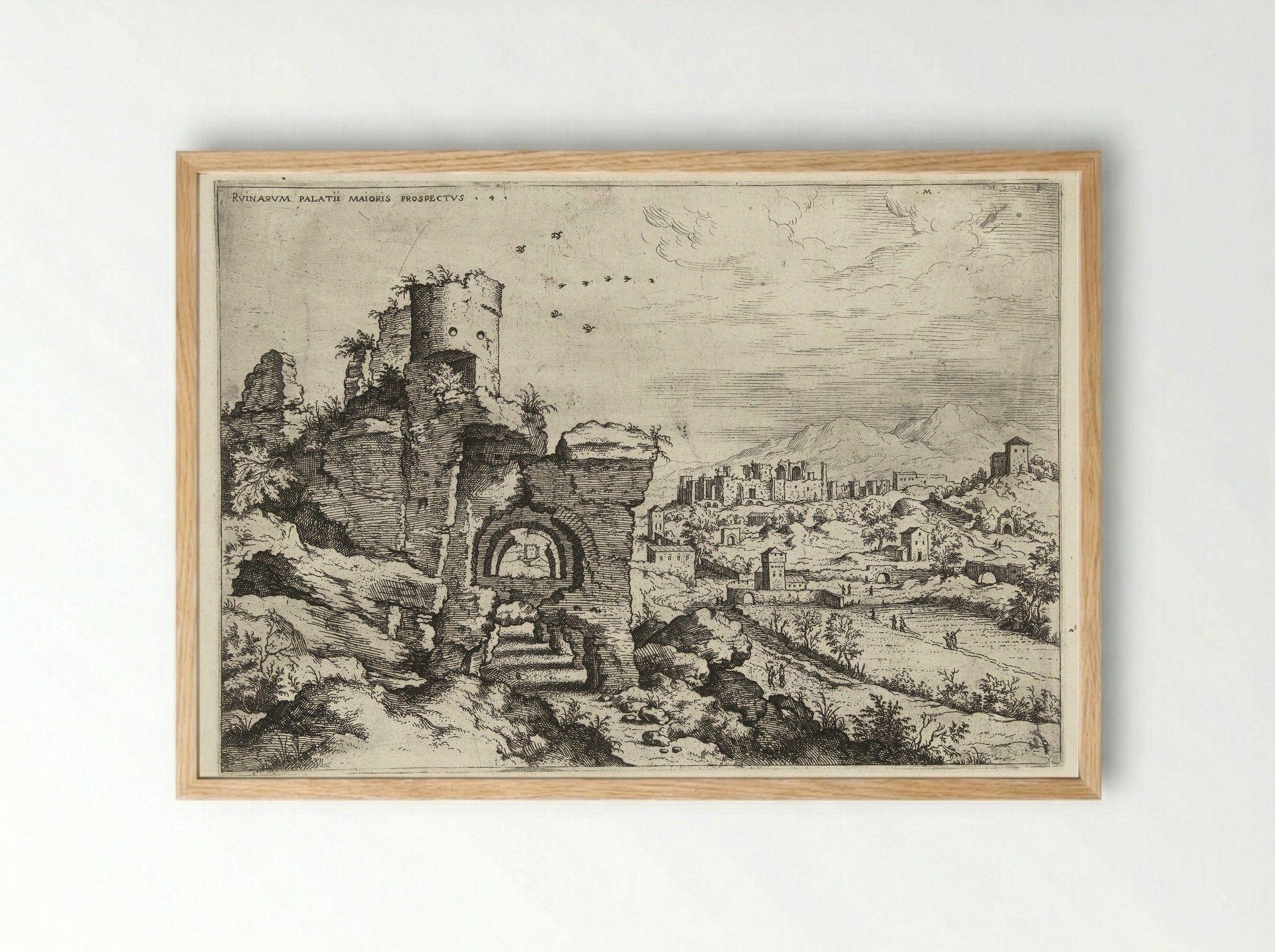 Ruinvarum Palatii Maioris Prospectus - Hieronymus Cock - Framed Print Wood
