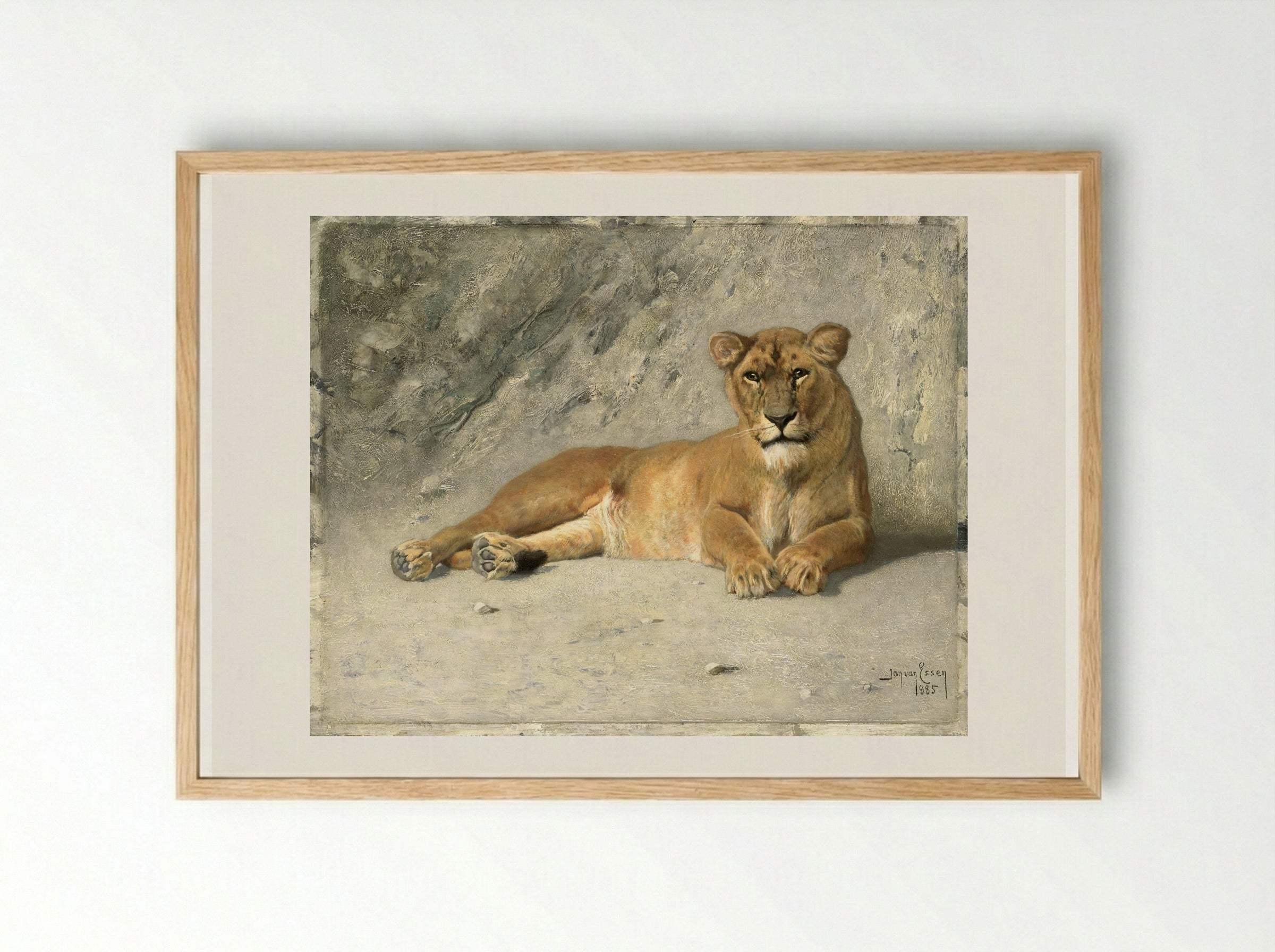Rustende leeuwin (Resting Lioness) - Jan van Essen - Framed Print Wood