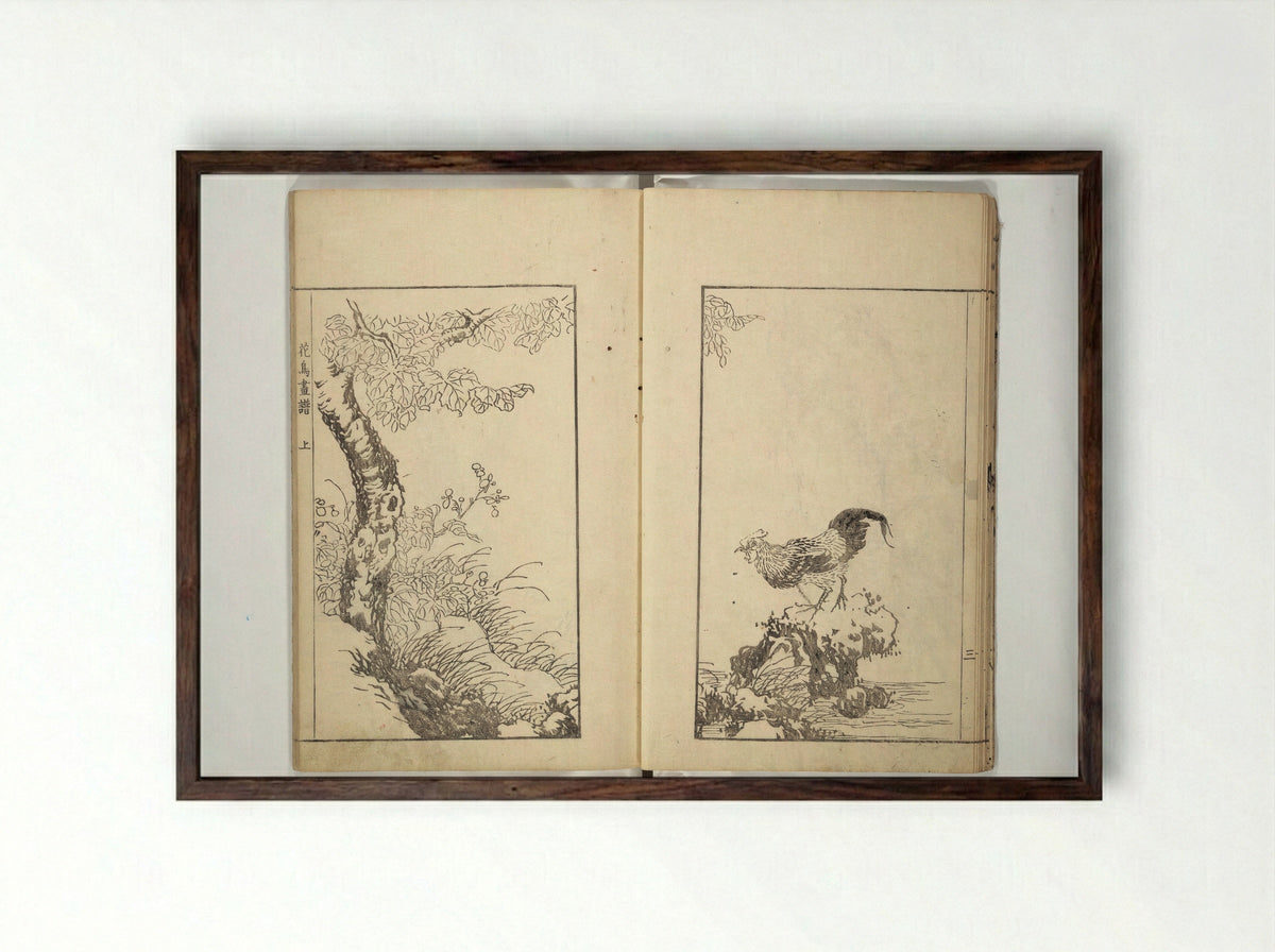 Sō Shiseki Picture Album - Sō Shiseki - Framed Print Dark Wood