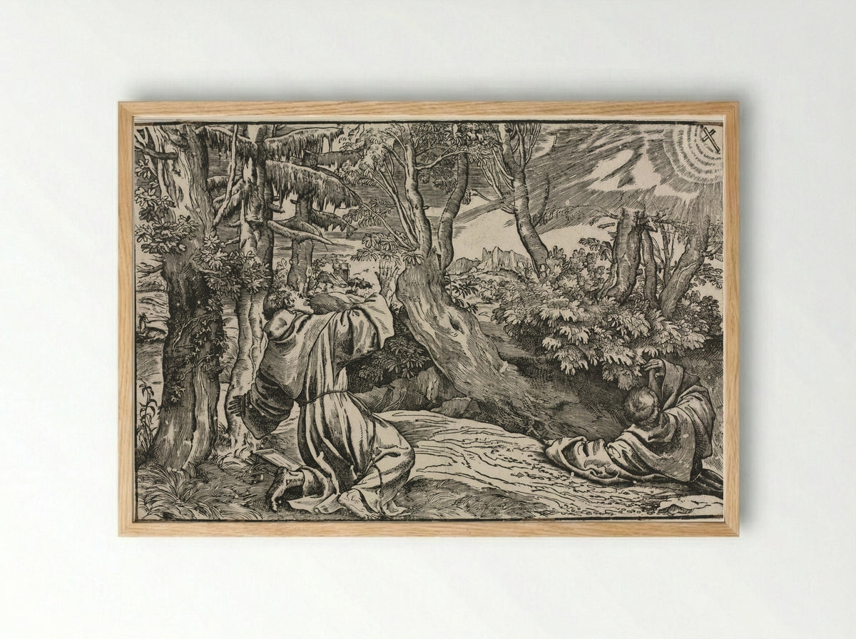 Saint Francis Receiving the Stigmata - Niccolo Boldrini - Framed Print Wood