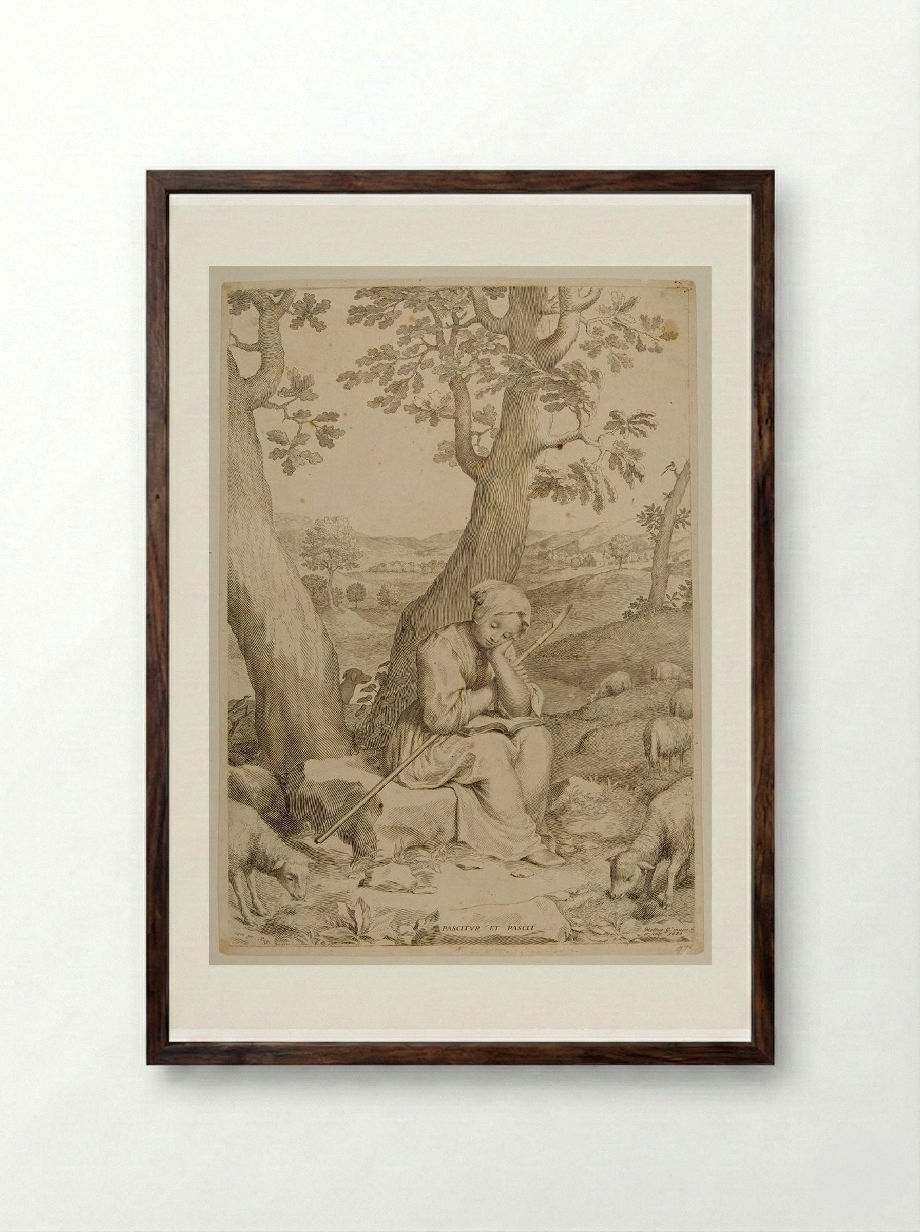 Saint Genevieve as a Shepherdess - Claude Mellan - Framed Print Dark Wood