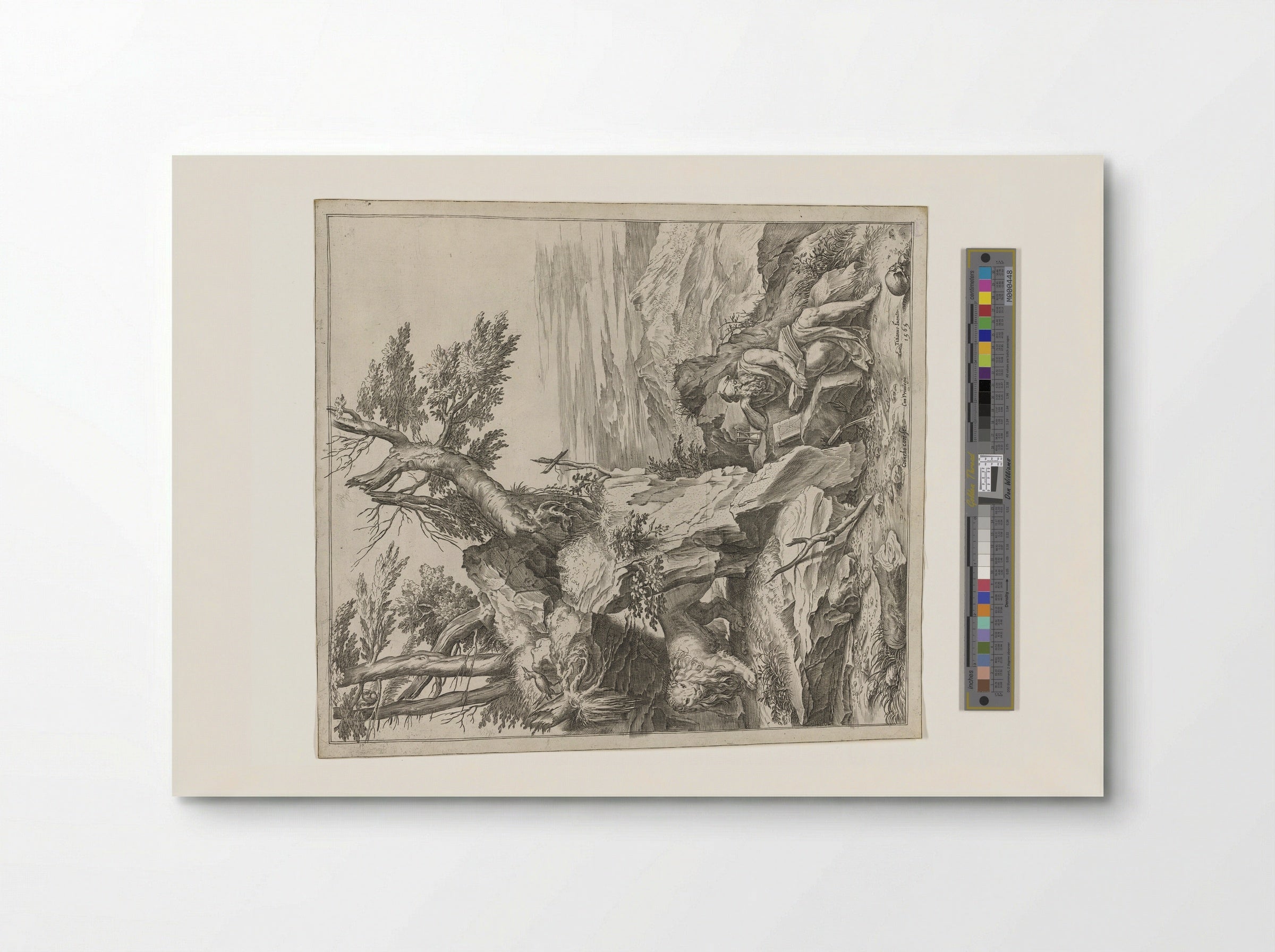 Saint Jerome Reading in the Desert - Cornelis Cort - Poster