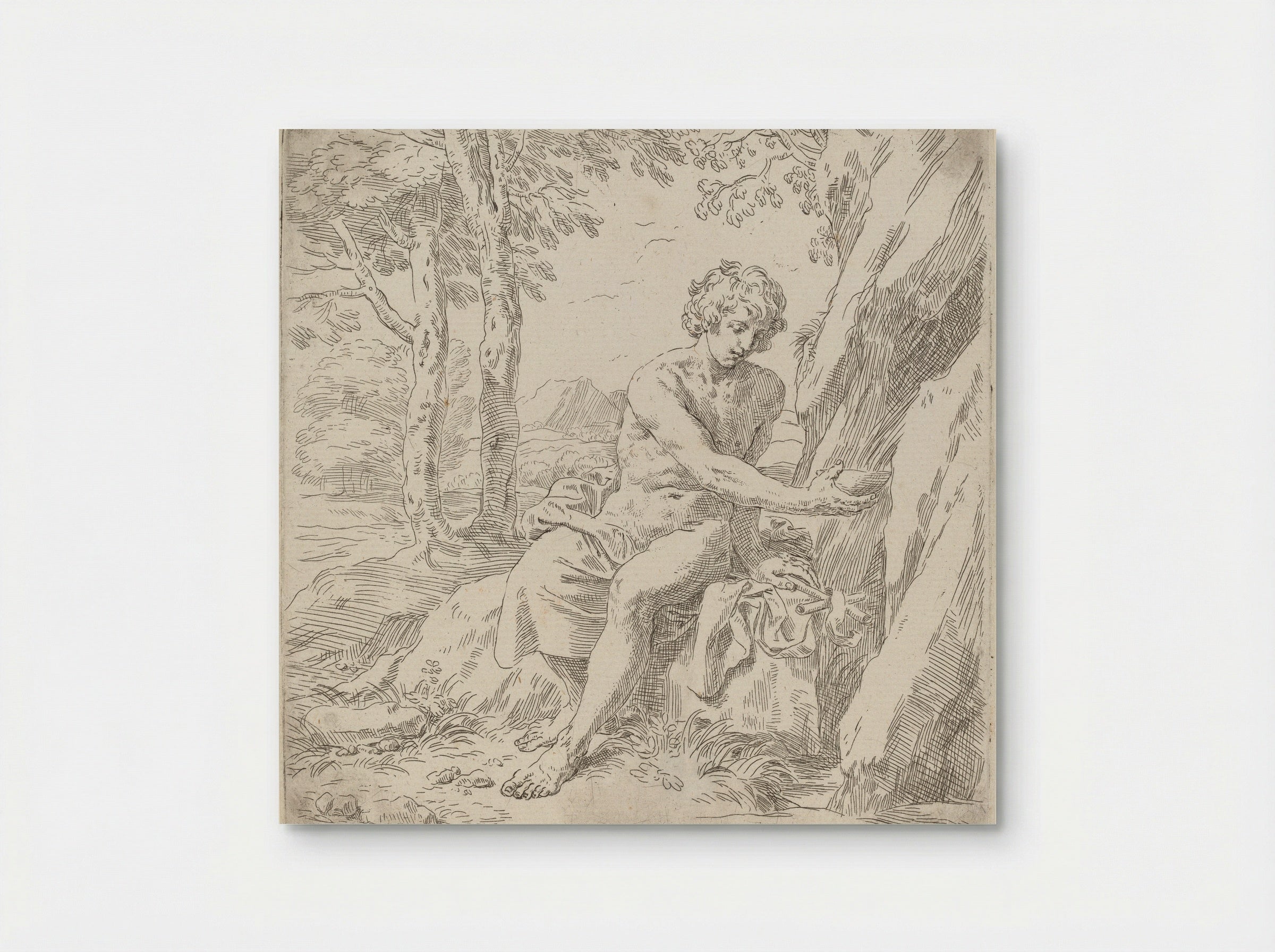 Saint John the Baptist in the Desert - Simone Cantarini - Poster