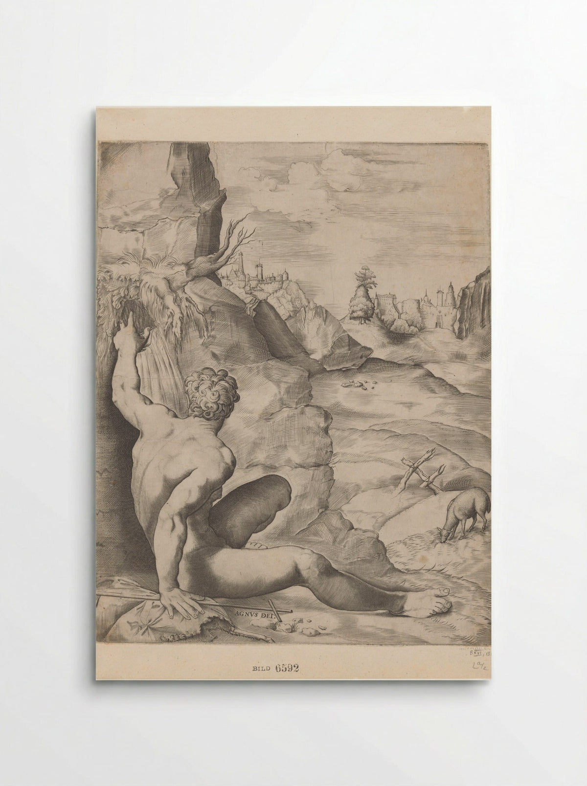 Saint John the Baptist in the Wilderness - Giulio Sanuto - Poster