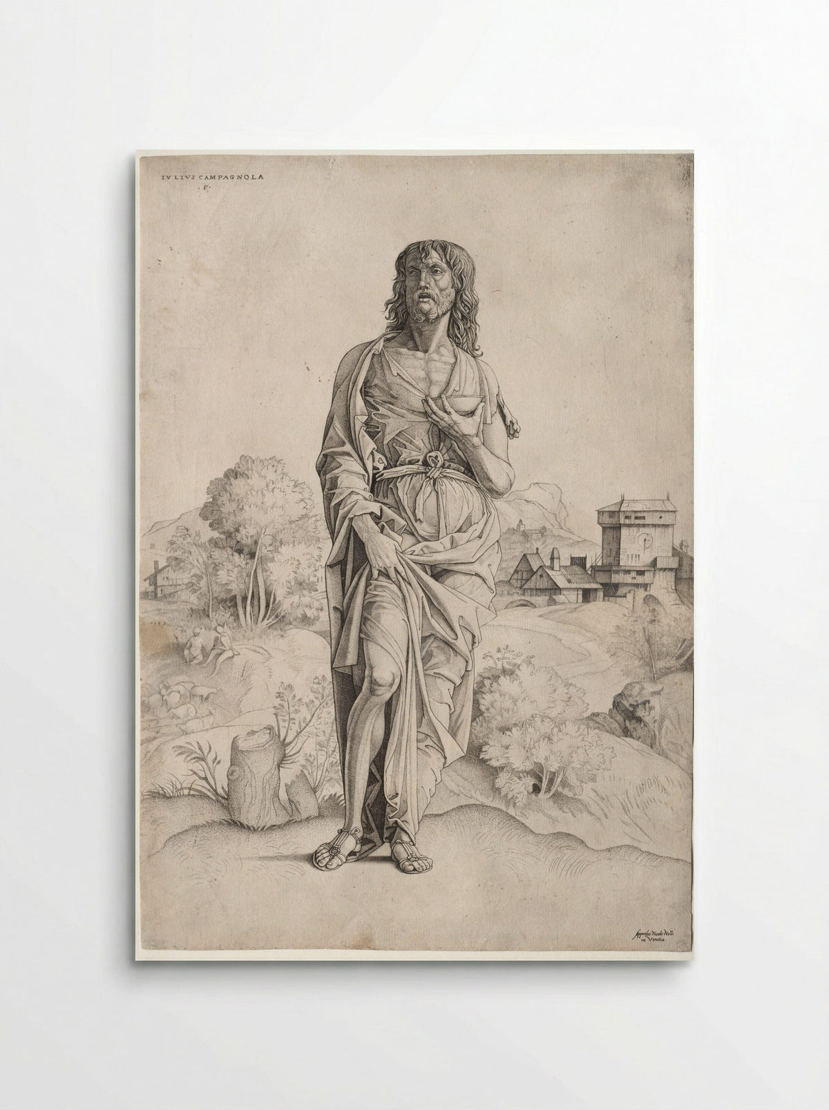 Saint John the Baptist - Giulio Campagnola - Poster