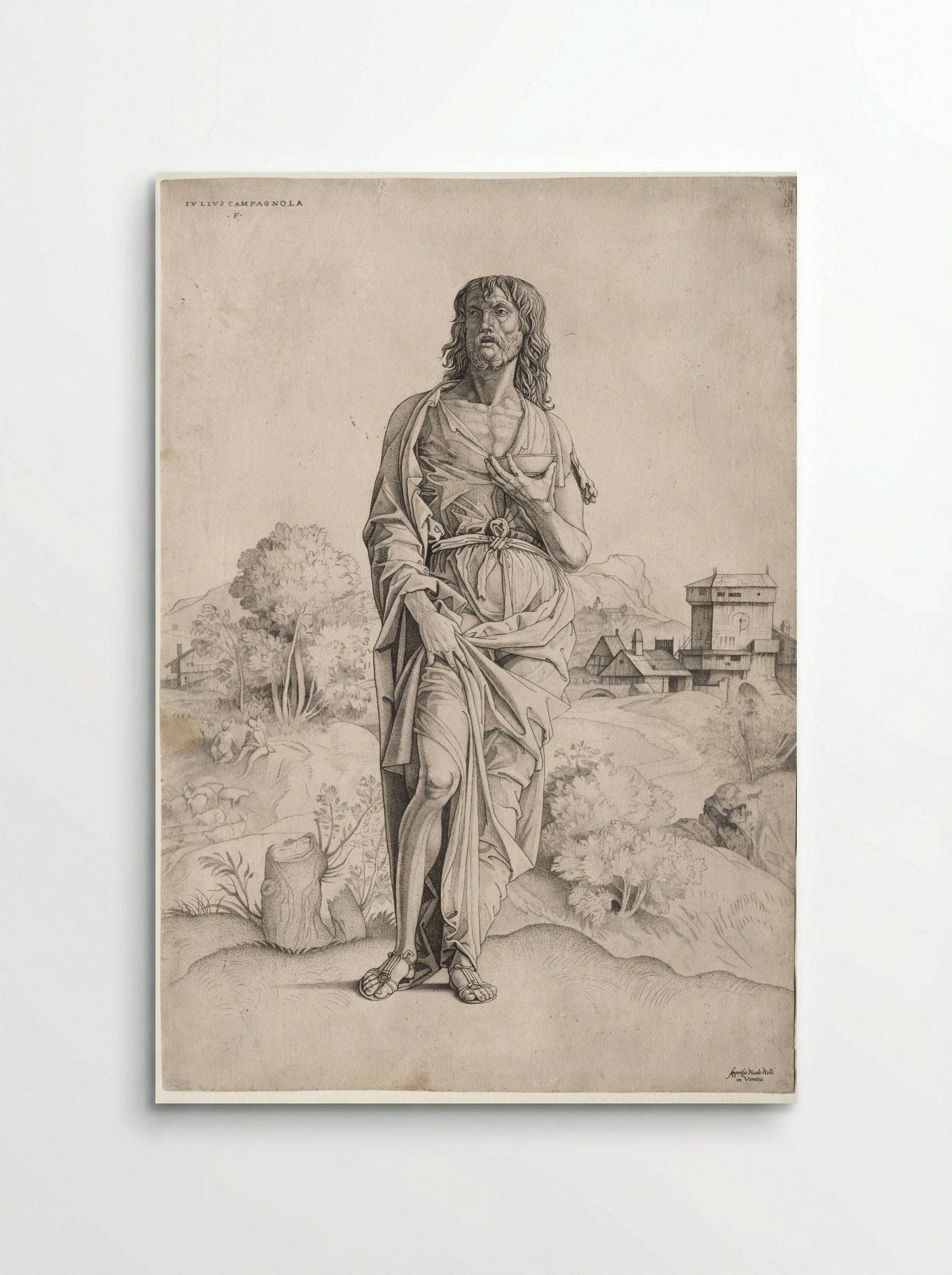 Saint John the Baptist - Giulio Campagnola - Poster