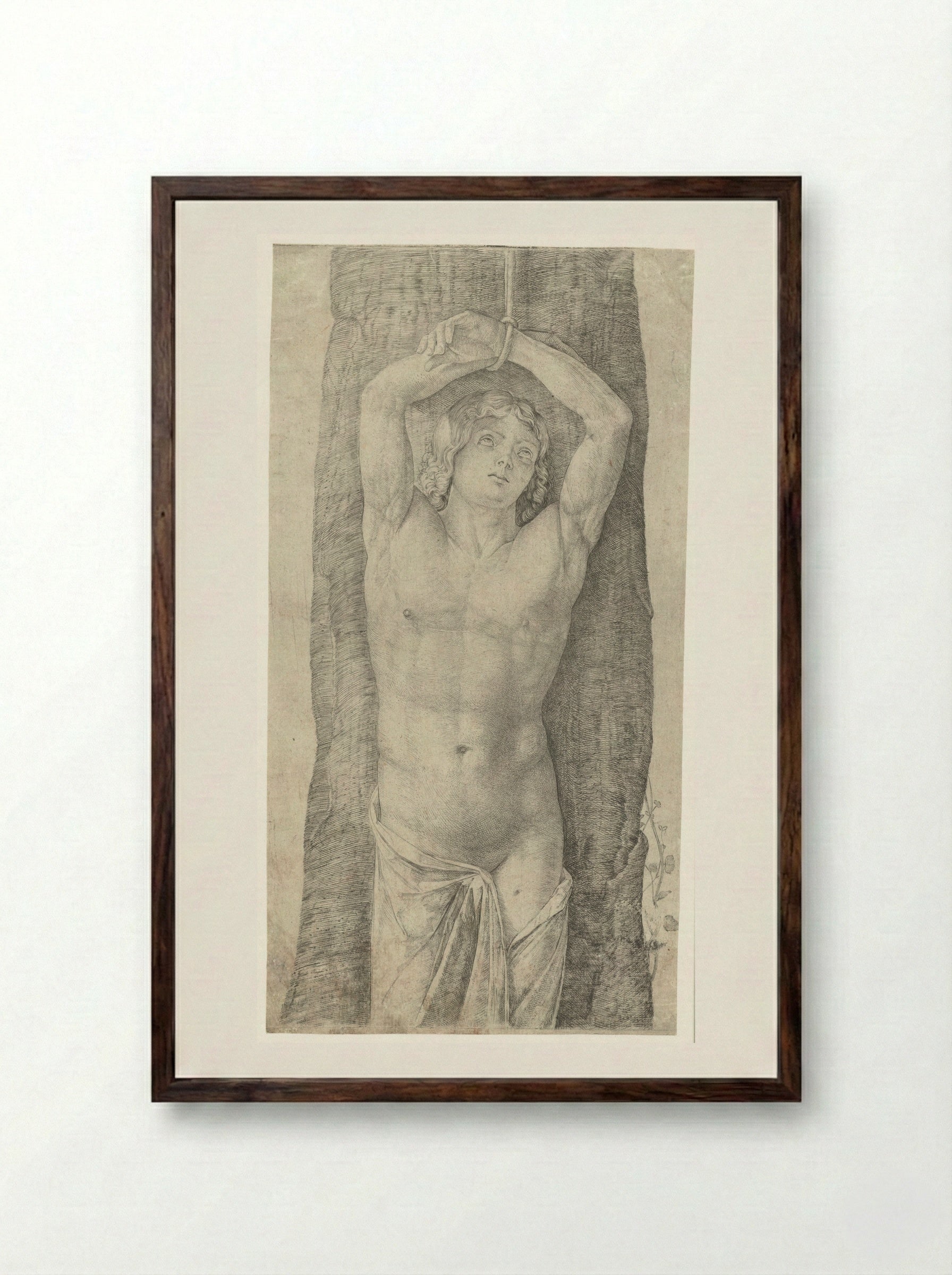 Saint Sebastian Bound to a Tree - Jacopo de' Barbari - Framed Print Dark Wood