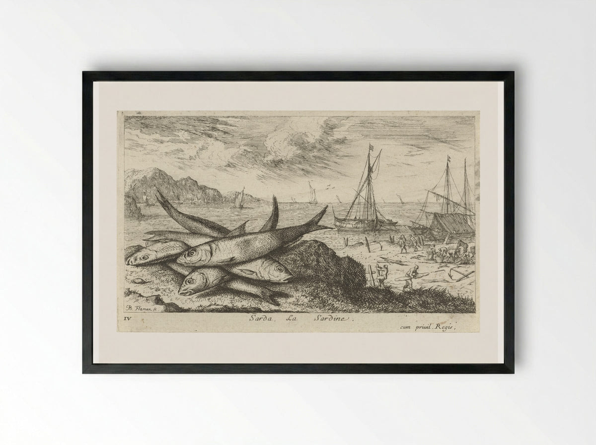 Sarda, La Sardine - Albert Flamen - Framed Print Black
