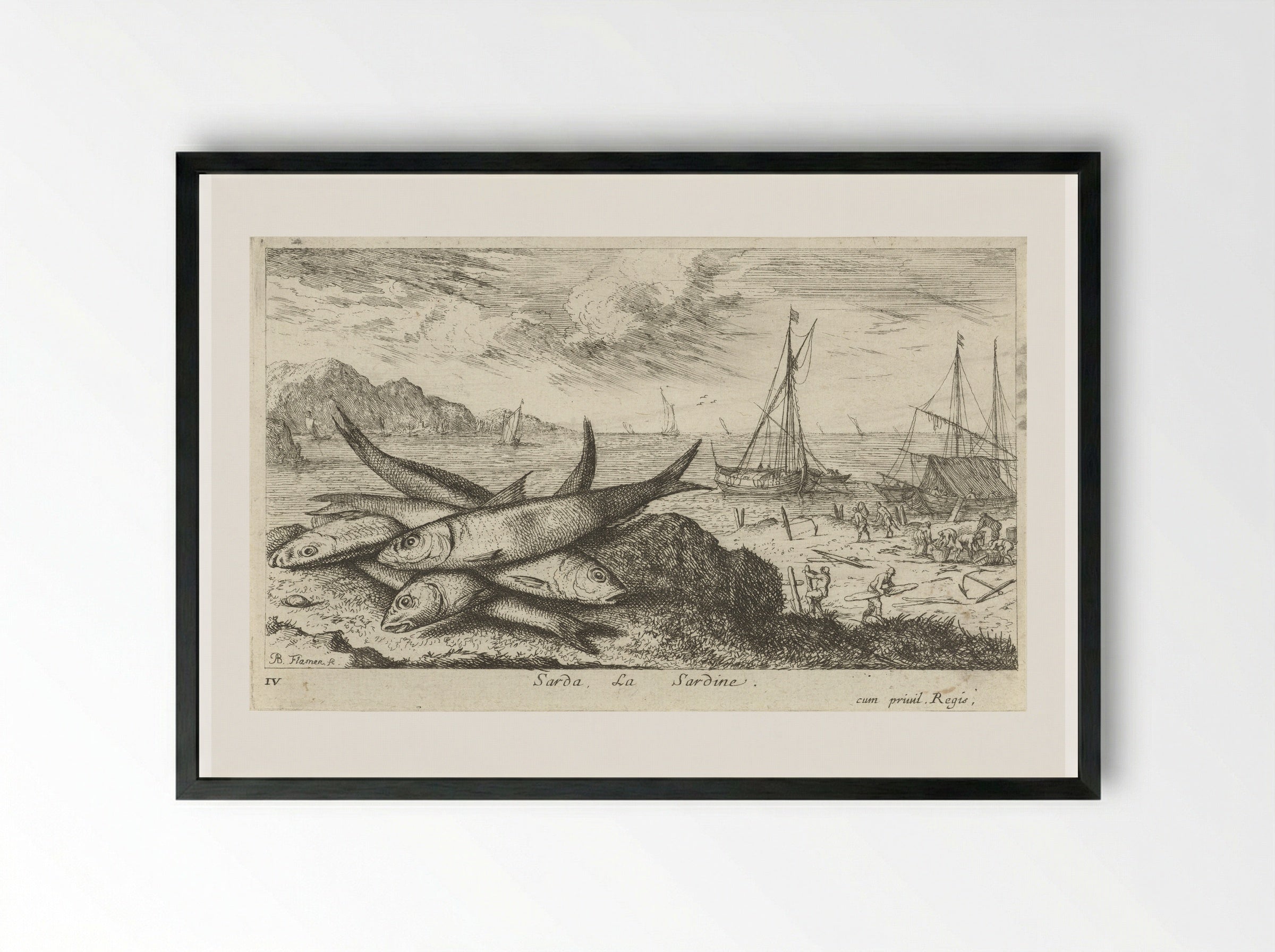 Sarda, La Sardine - Albert Flamen - Framed Print Black