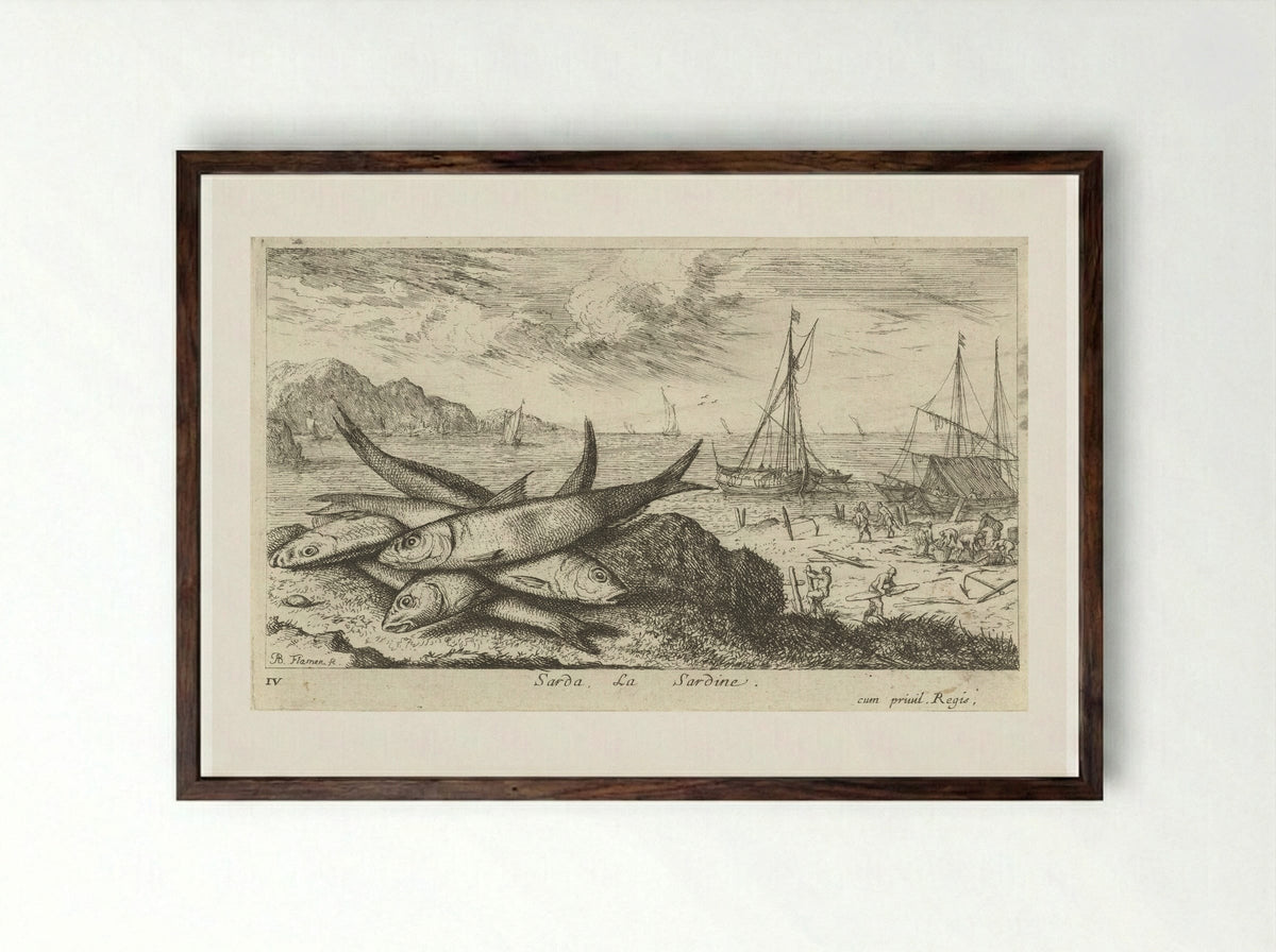 Sarda, La Sardine - Albert Flamen - Framed Print Dark Wood