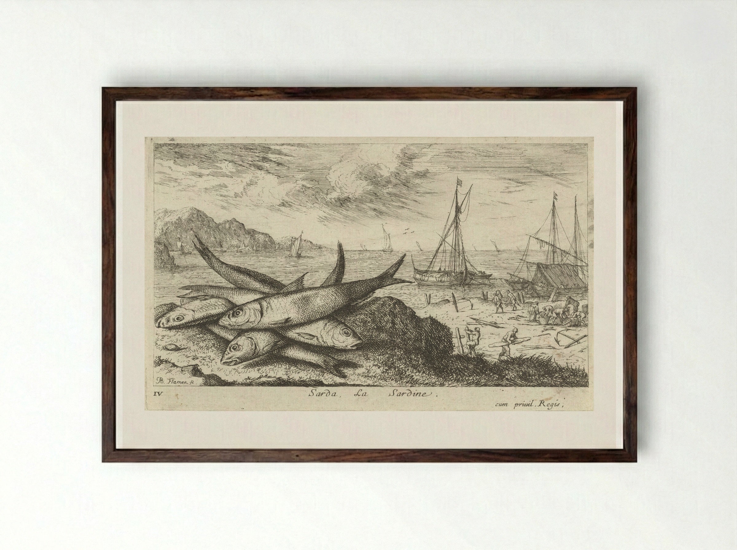 Sarda, La Sardine - Albert Flamen - Framed Print Dark Wood