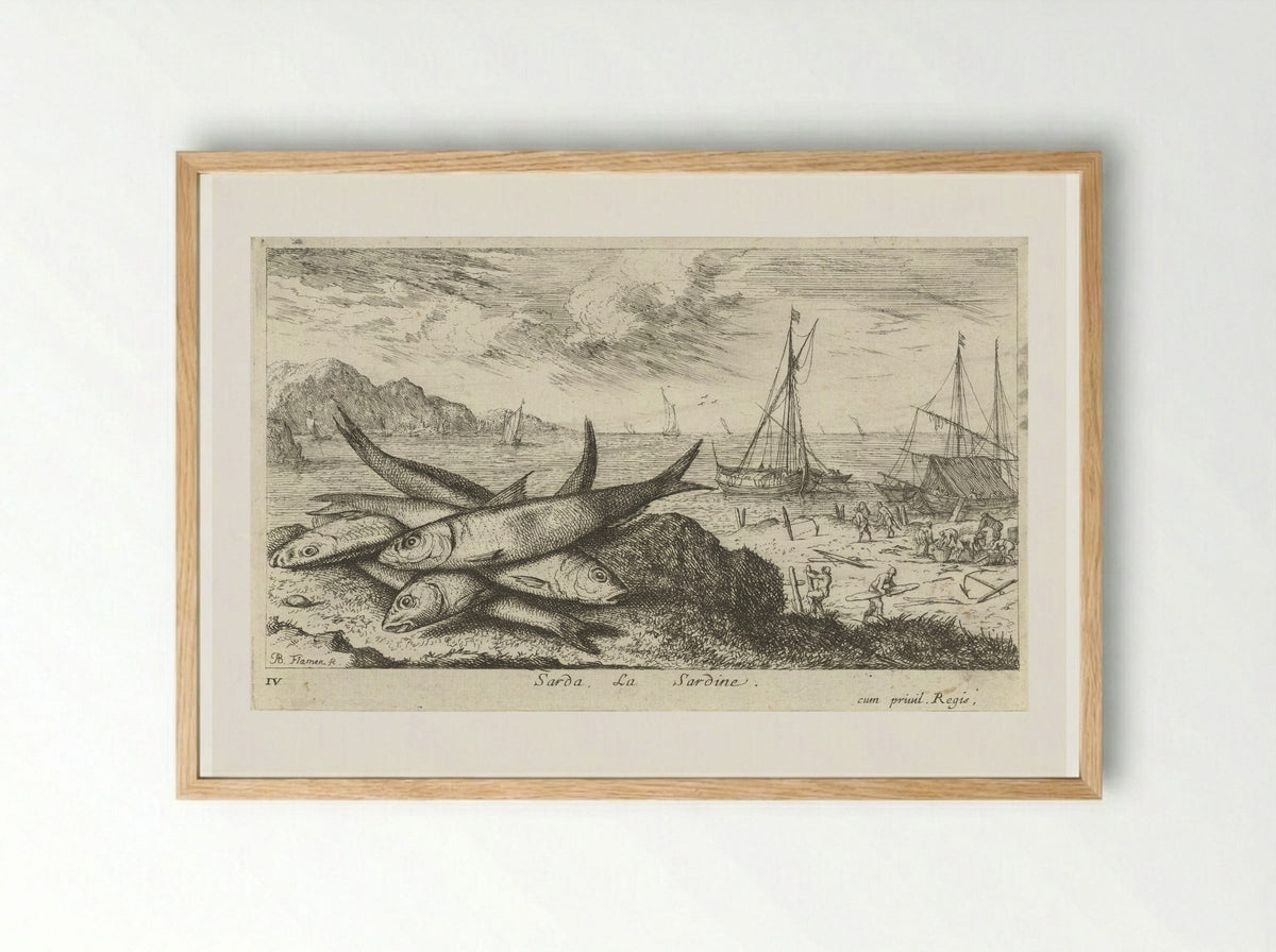Sarda, La Sardine - Albert Flamen - Framed Print Wood