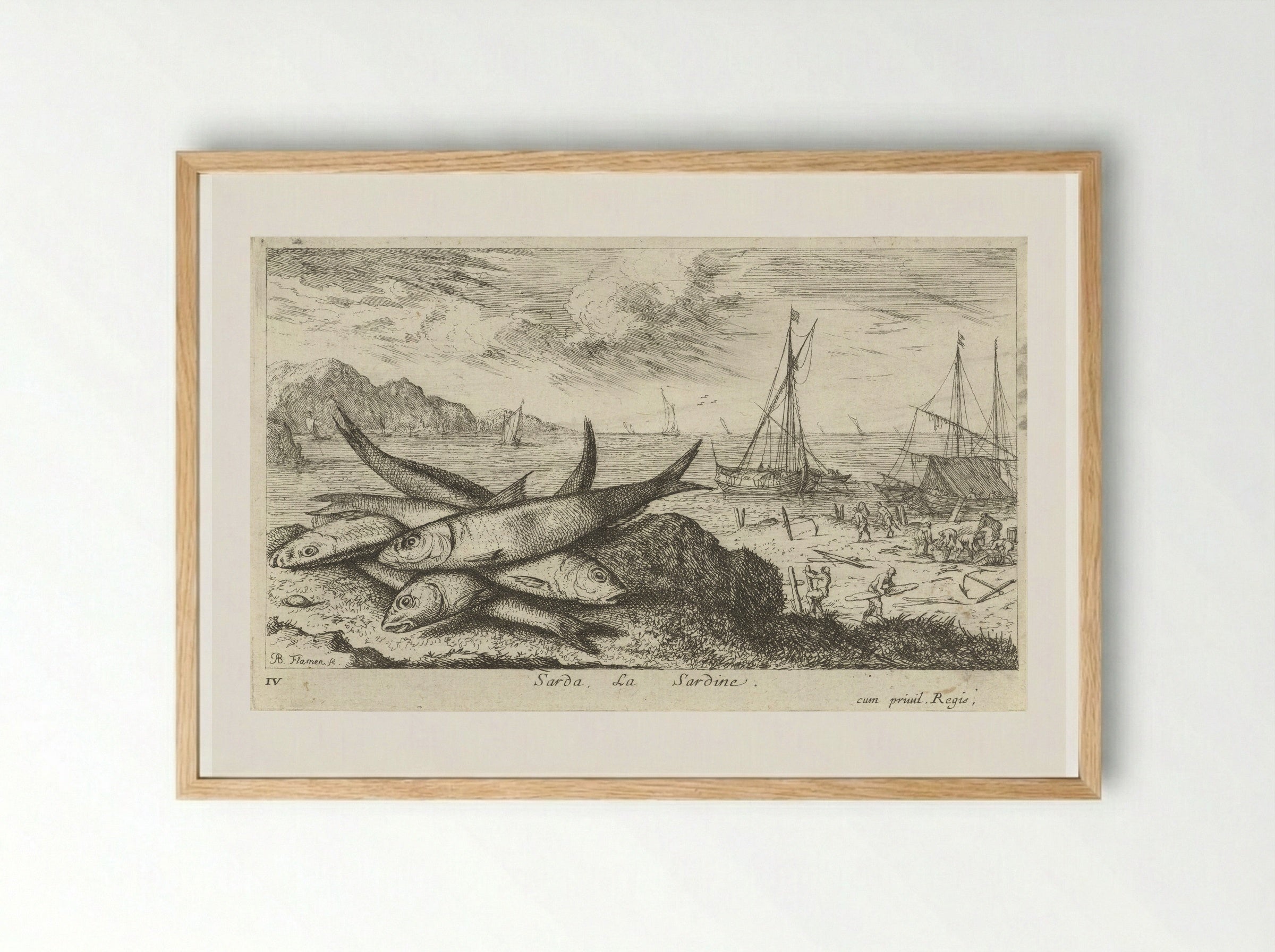 Sarda, La Sardine - Albert Flamen - Framed Print Wood