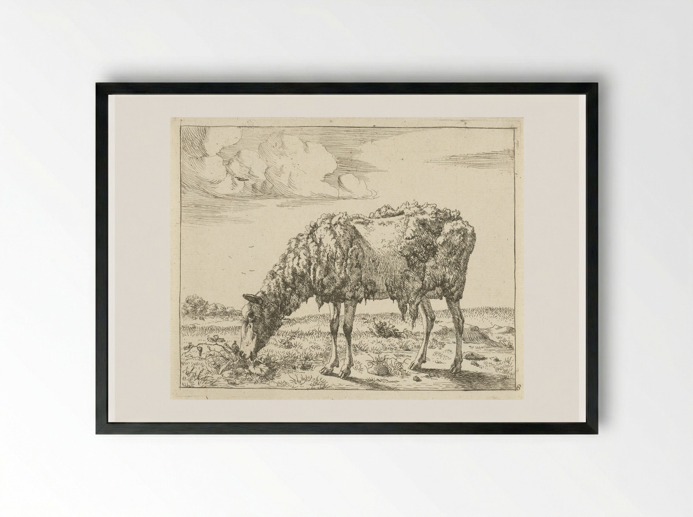 Schaap (Sheep) - Marcus de Bye - Framed Print Black