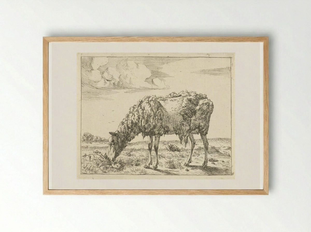 Schaap (Sheep) - Marcus de Bye - Framed Print Wood