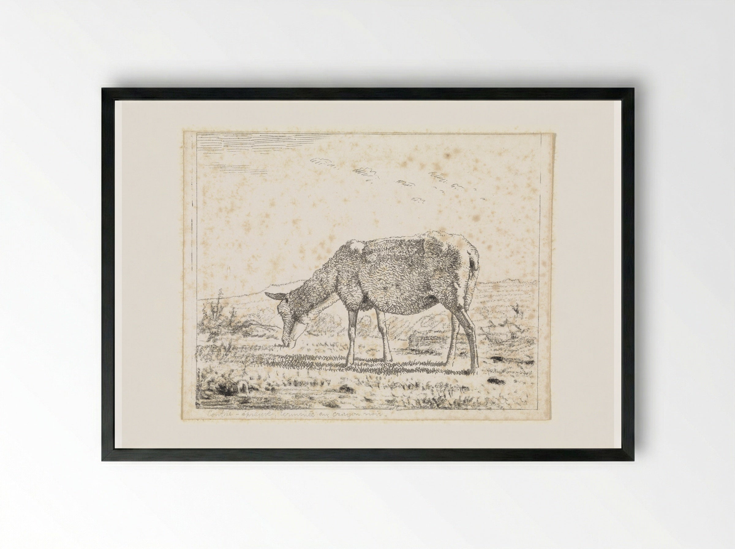 Schaap naar links (Sheep Facing Left) - Wouter Johannes van Troostwijk - Framed Print Black