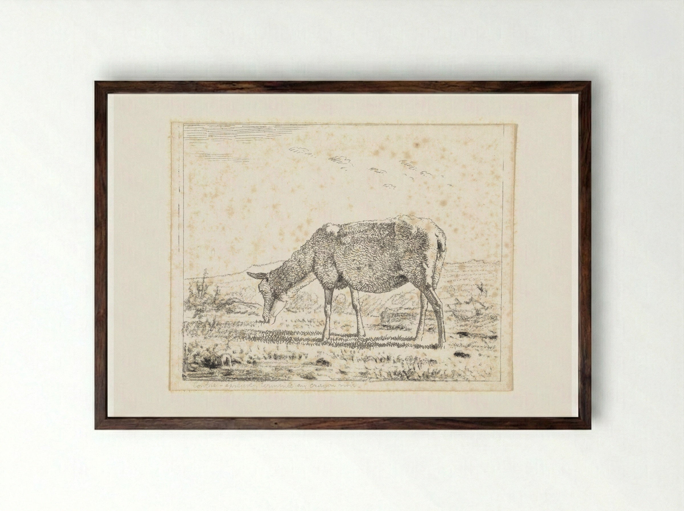 Schaap naar links (Sheep Facing Left) - Wouter Johannes van Troostwijk - Framed Print Dark Wood