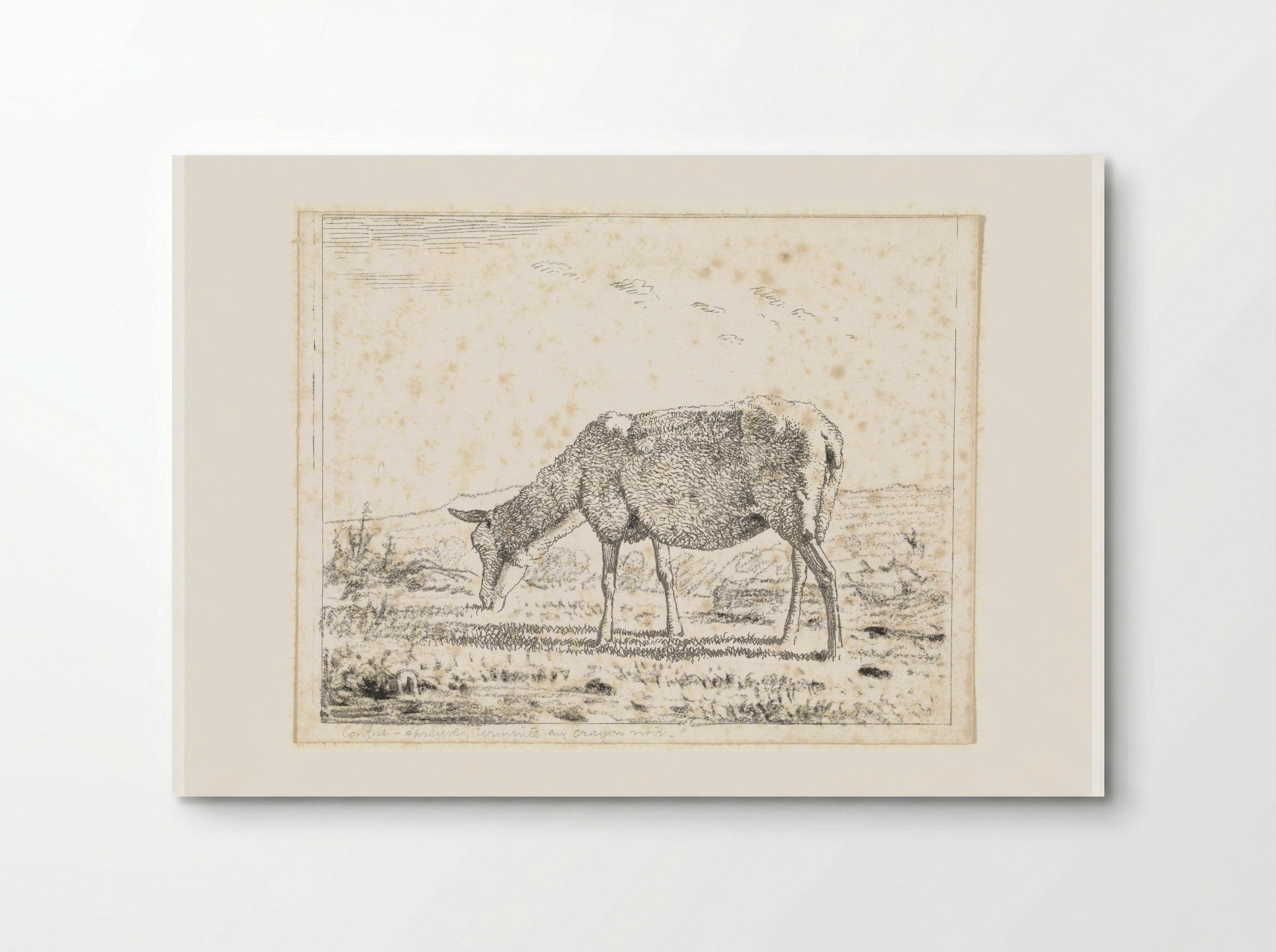 Schaap naar links (Sheep Facing Left) - Wouter Johannes van Troostwijk - Poster