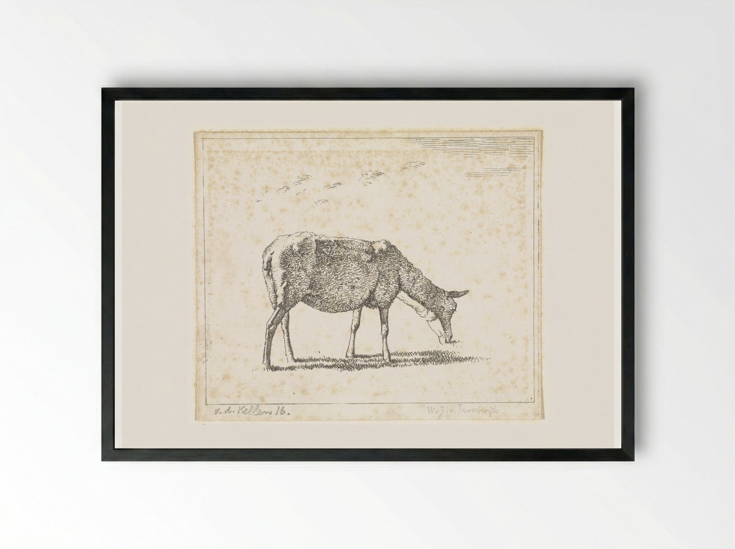 Schaap naar rechts (Sheep Facing Right) - Wouter Johannes van Troostwijk - Framed Print Black