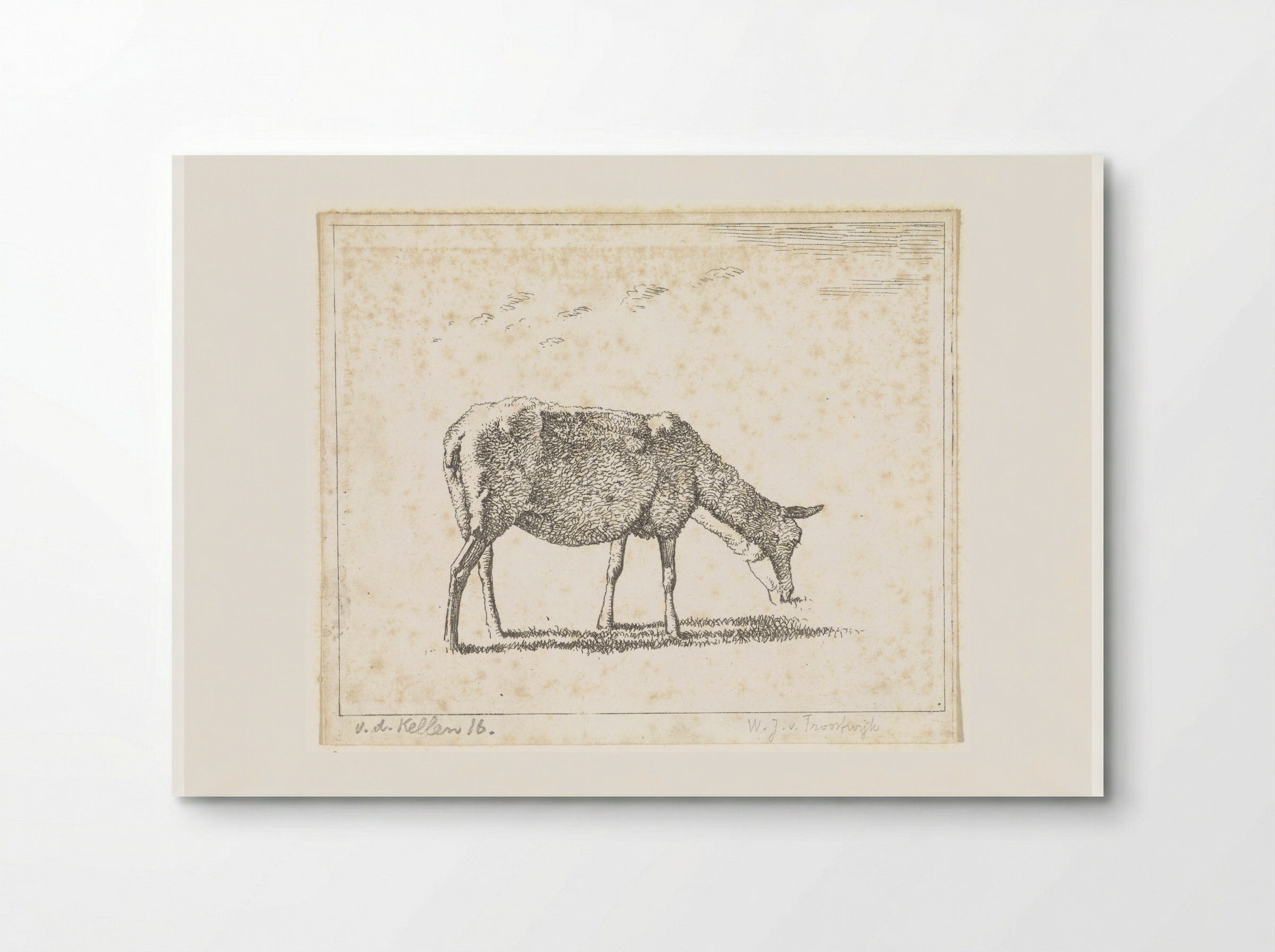 Schaap naar rechts (Sheep Facing Right) - Wouter Johannes van Troostwijk - Poster