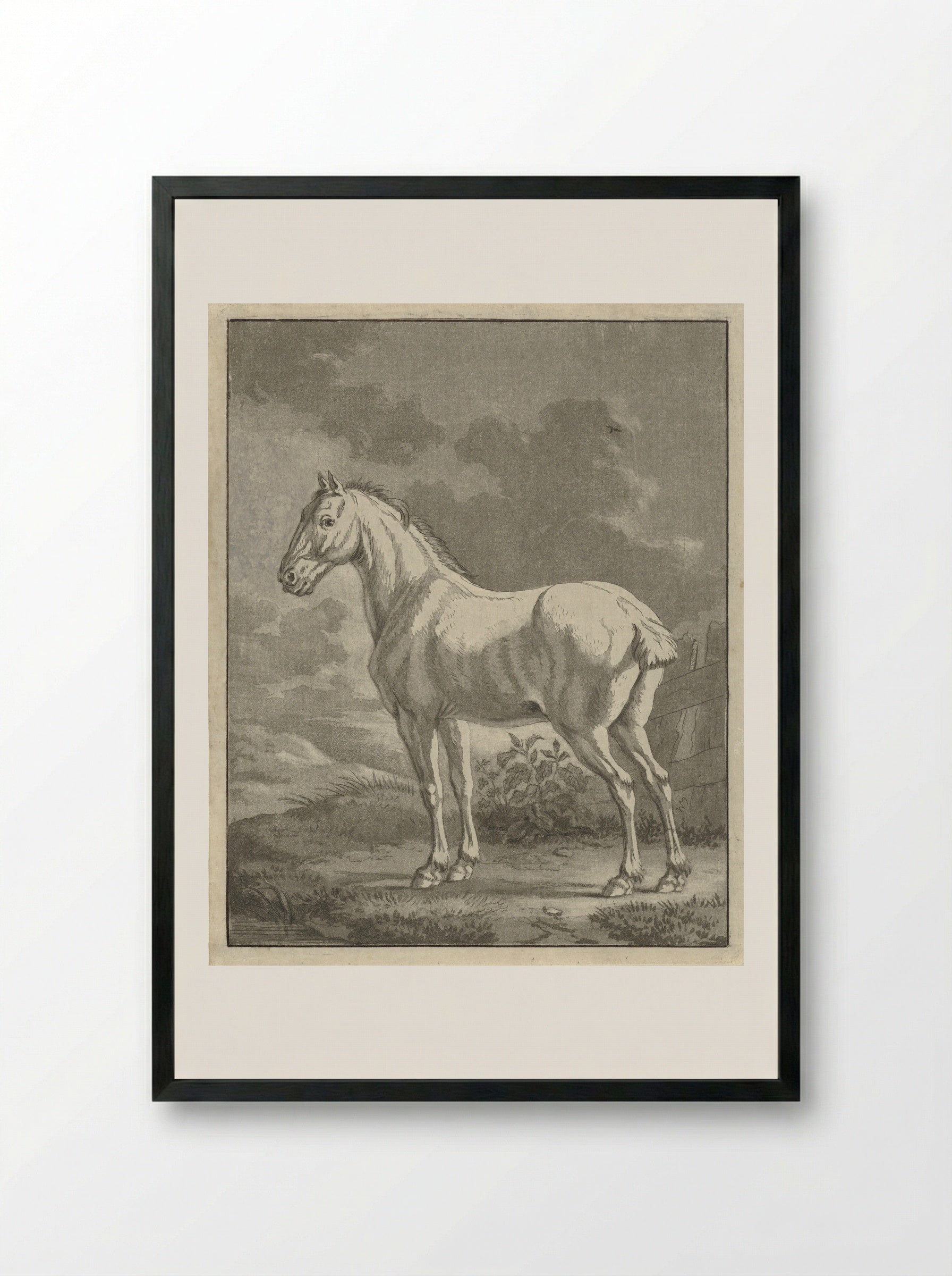 Schimmel in een wei - Tethart Philip Christian Haag - Framed Print Black