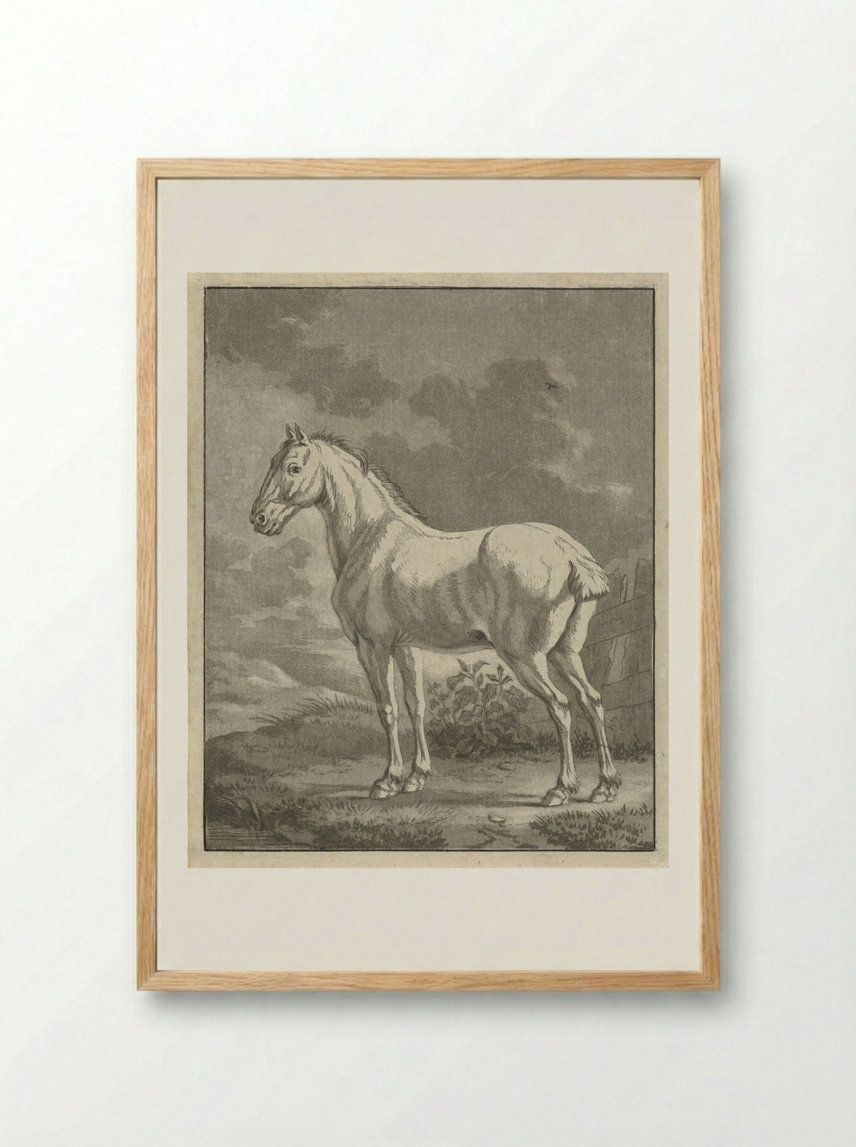 Schimmel in een wei - Tethart Philip Christian Haag - Framed Print Wood