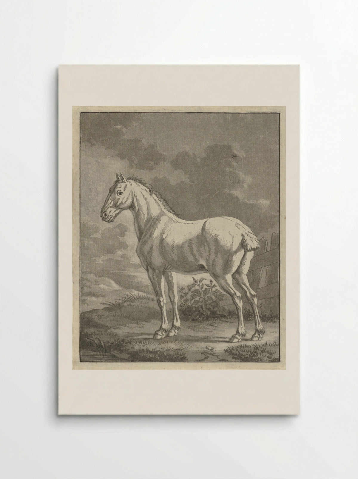 Schimmel in een wei - Tethart Philip Christian Haag - Poster