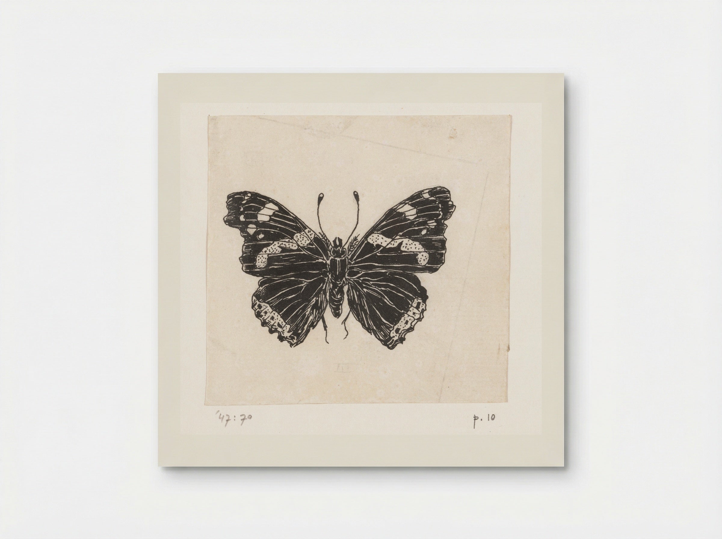 Schoenlapper (Butterfly Study) - Willem Wenckebach - Poster