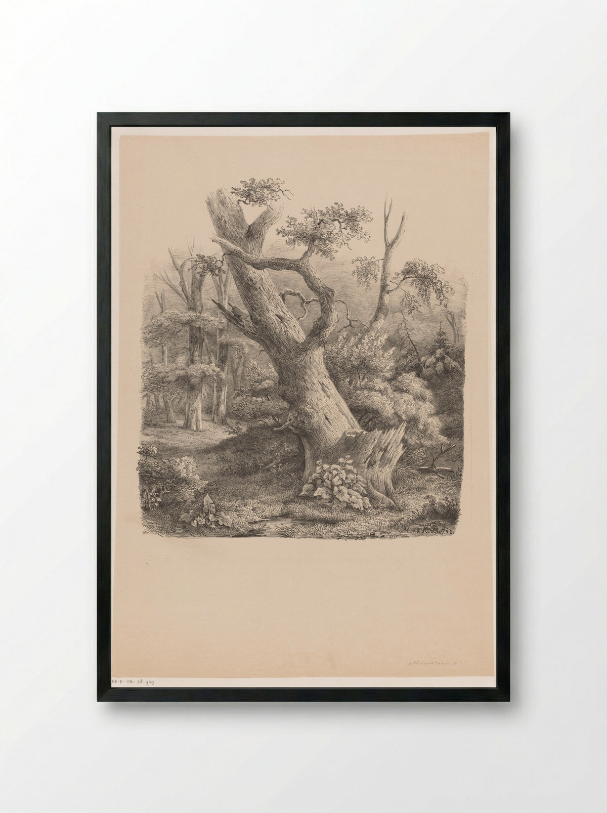 Schuine boom in het bos - Maurits E.H.R. van den Kerkhoff - Framed Print Black