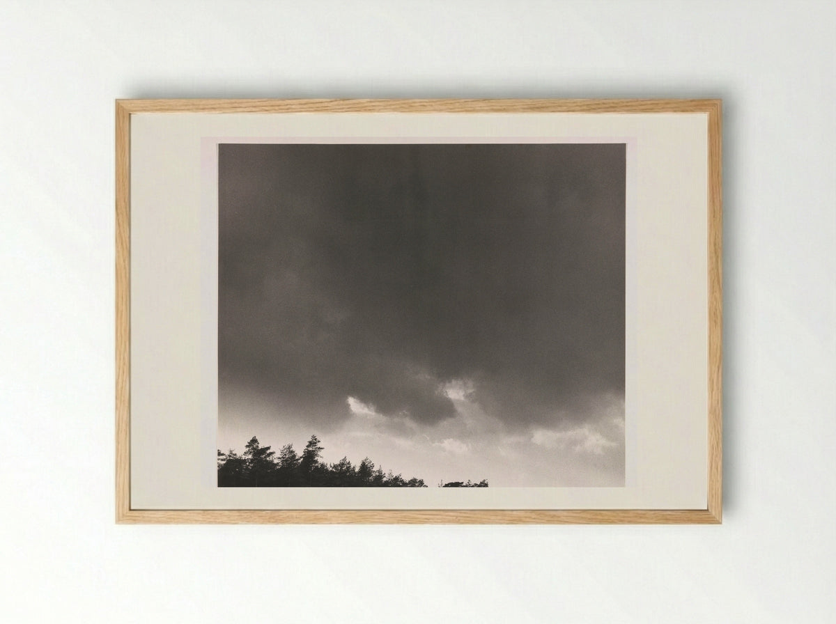 Schuldig landschap - Armando - Framed Print Wood