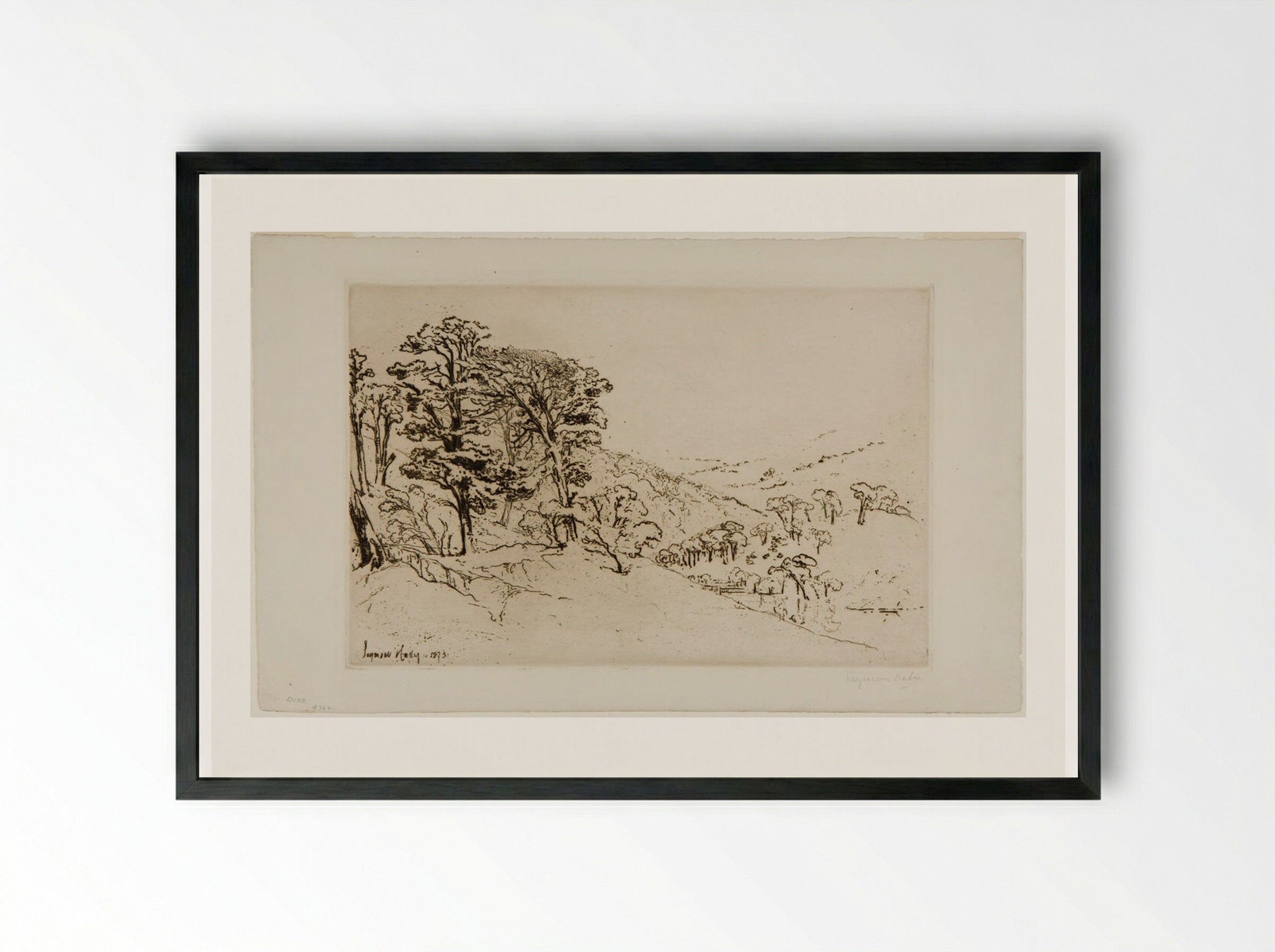 Scotch Firs, Inveroran - Francis Seymour Haden - Framed Print Black