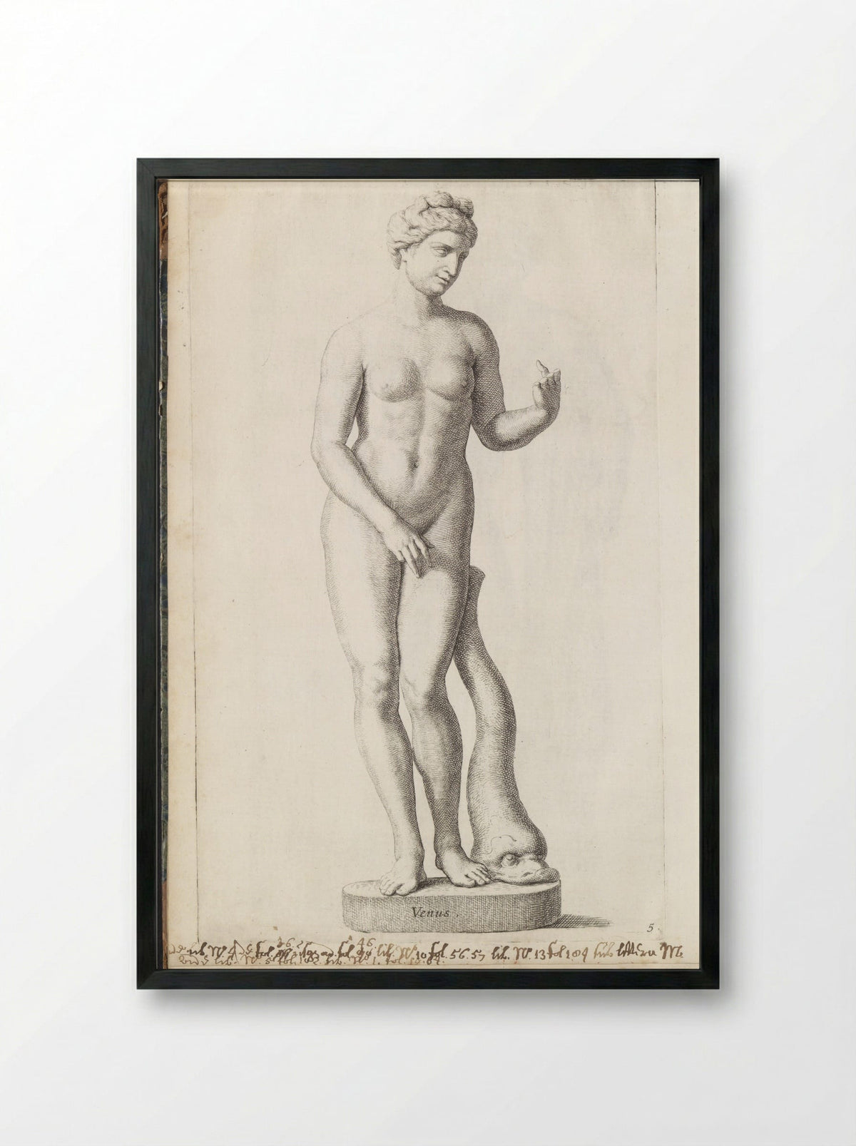 Sculptuur van Venus met een dolfijn - Hubert Quellinus - Framed Print Black