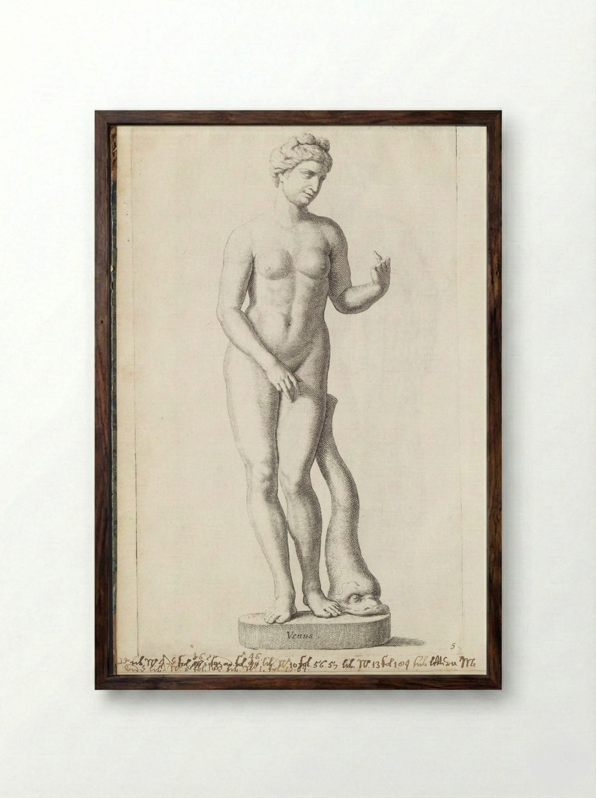 Sculptuur van Venus met een dolfijn - Hubert Quellinus - Framed Print Dark Wood