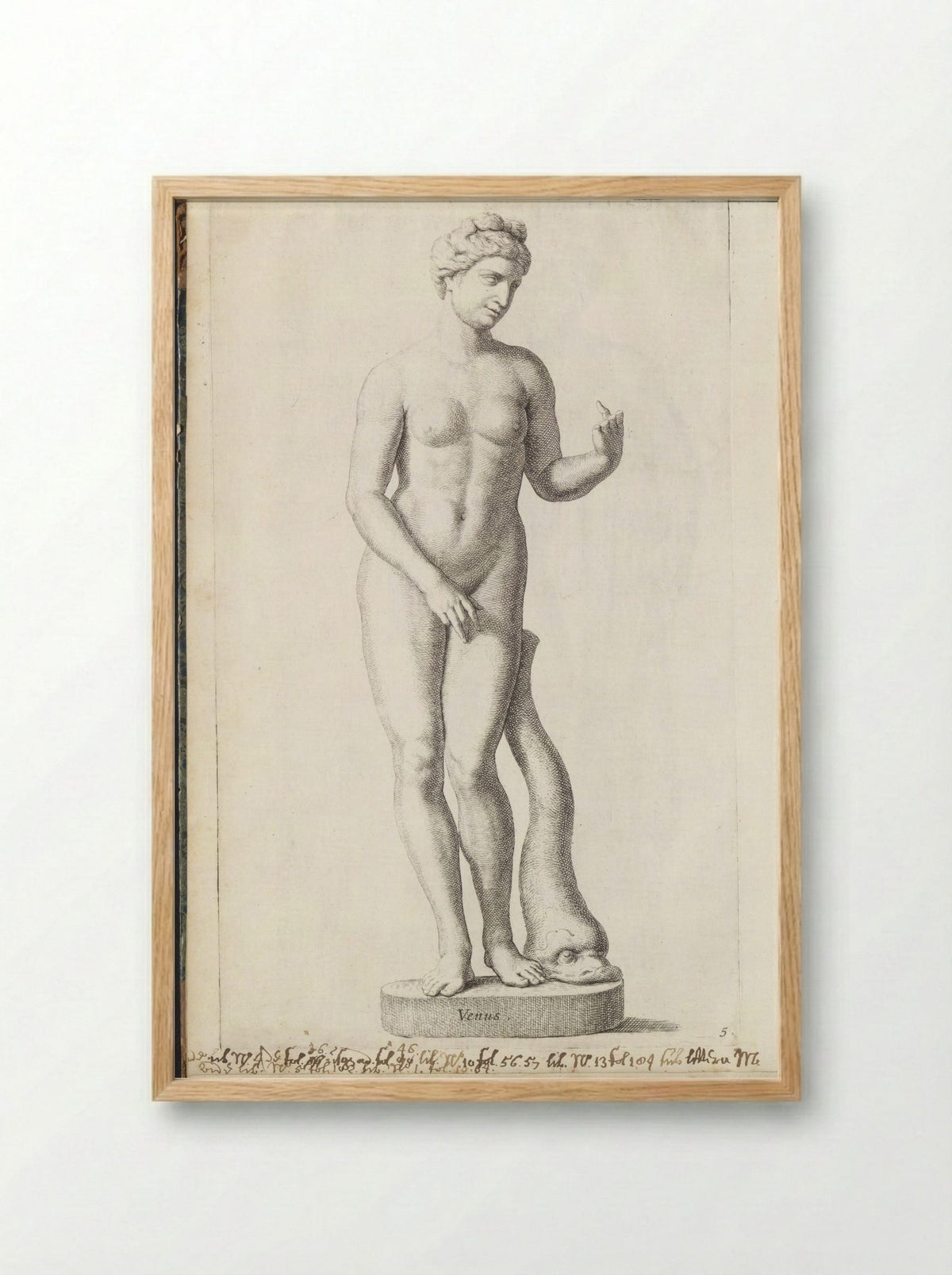 Sculptuur van Venus met een dolfijn - Hubert Quellinus - Framed Print Wood