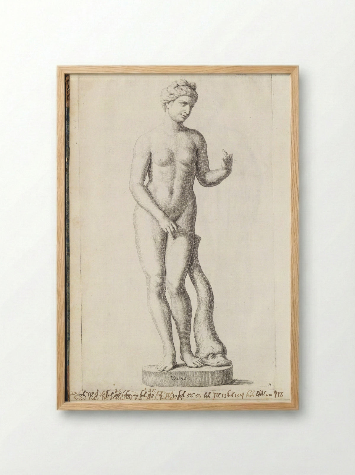 Sculptuur van Venus met een dolfijn - Hubert Quellinus - Framed Print Wood