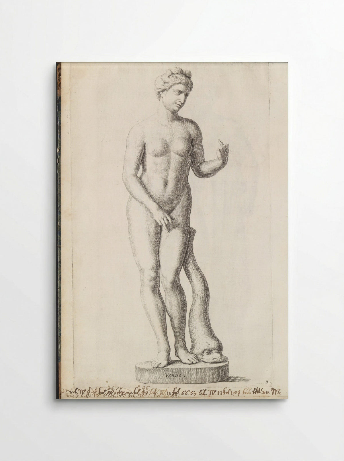 Sculptuur van Venus met een dolfijn - Hubert Quellinus - Poster